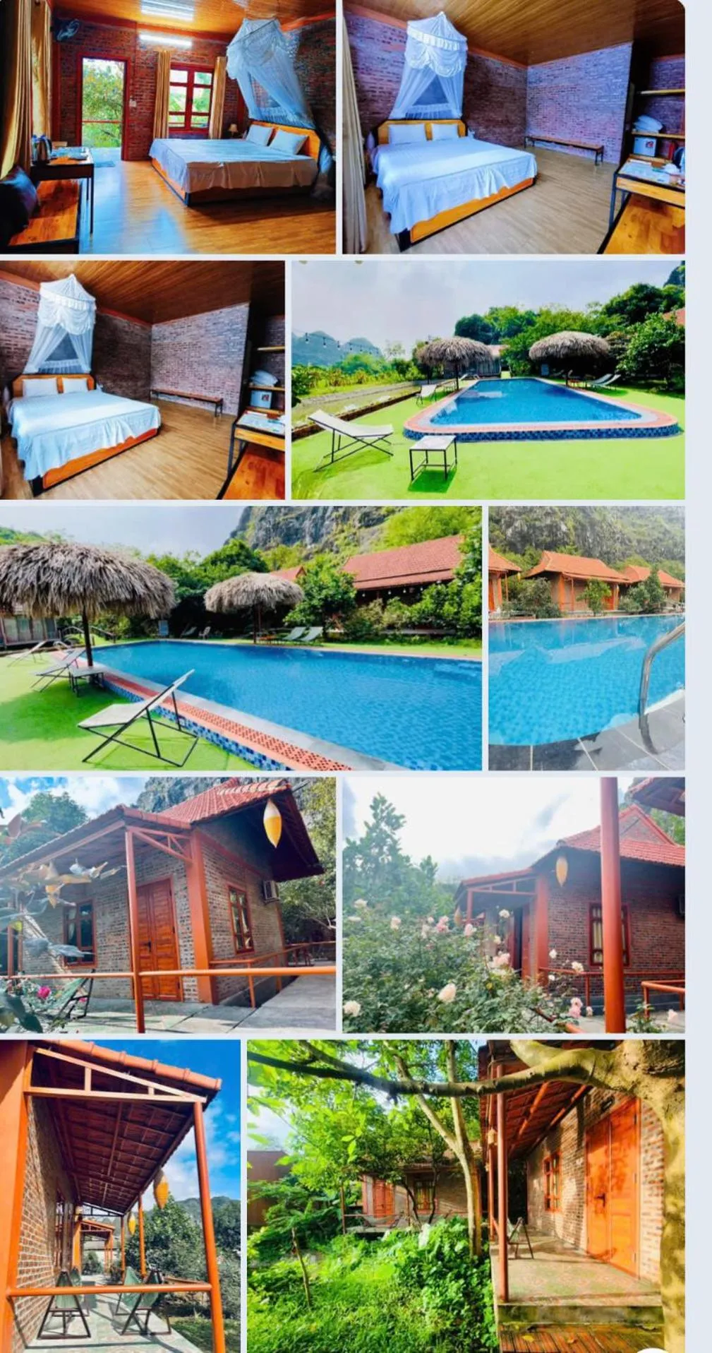 Pool view in Trang An Lotus Lake Homestay