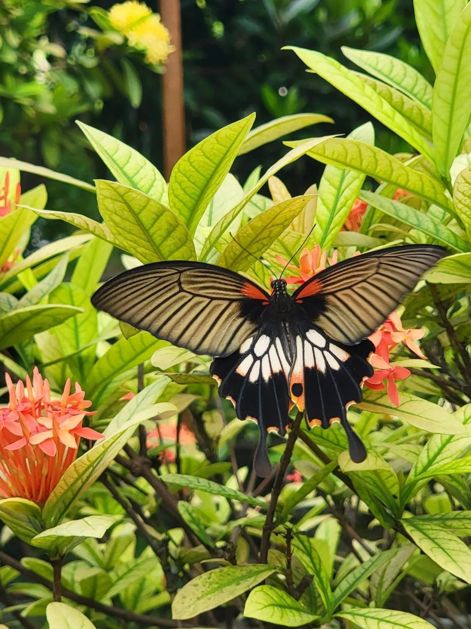 Natural landscape in Trang An Lotus Lake Homestay