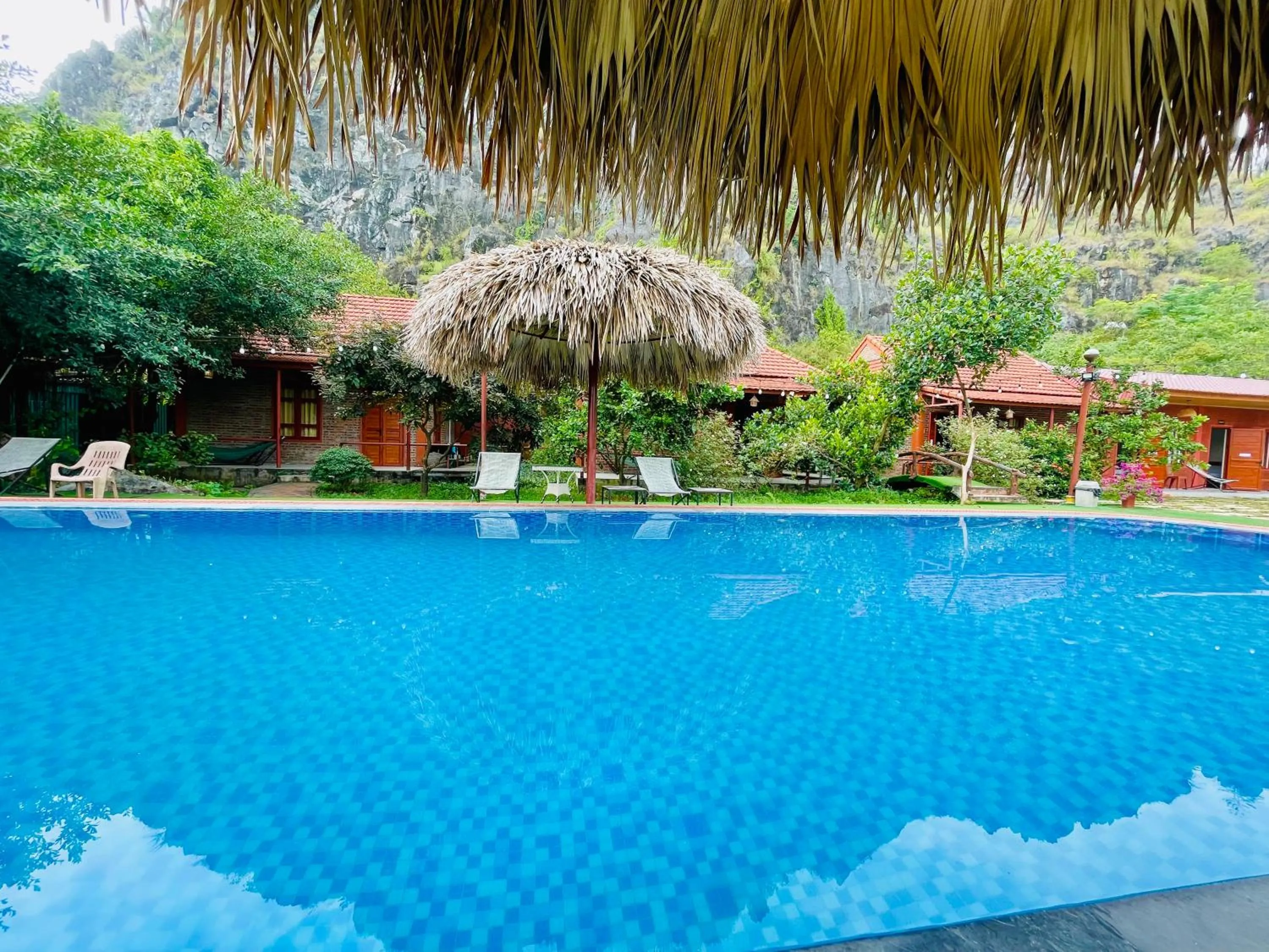 Spring in Trang An Lotus Lake Homestay