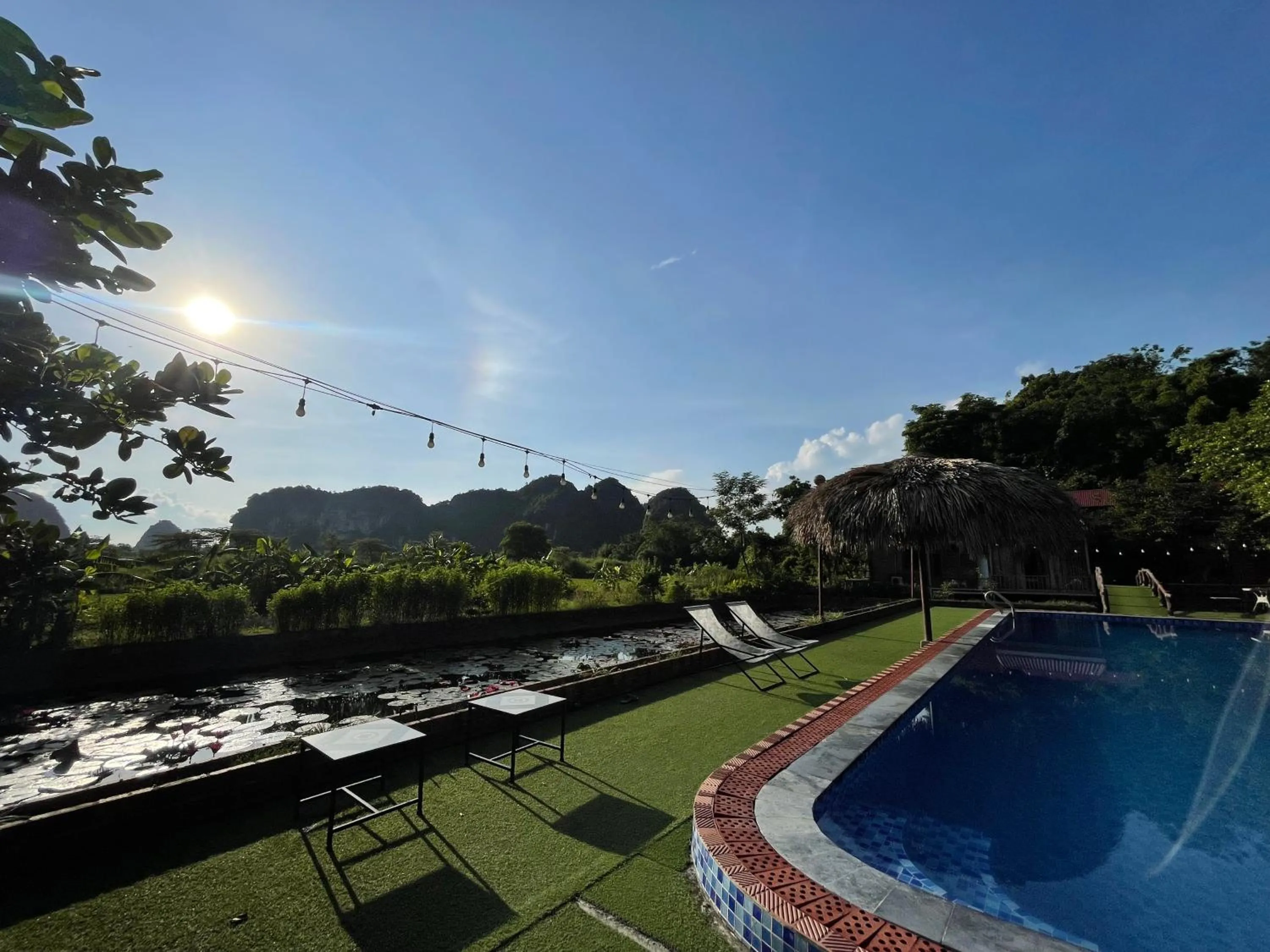 Pool view in Trang An Lotus Lake Homestay