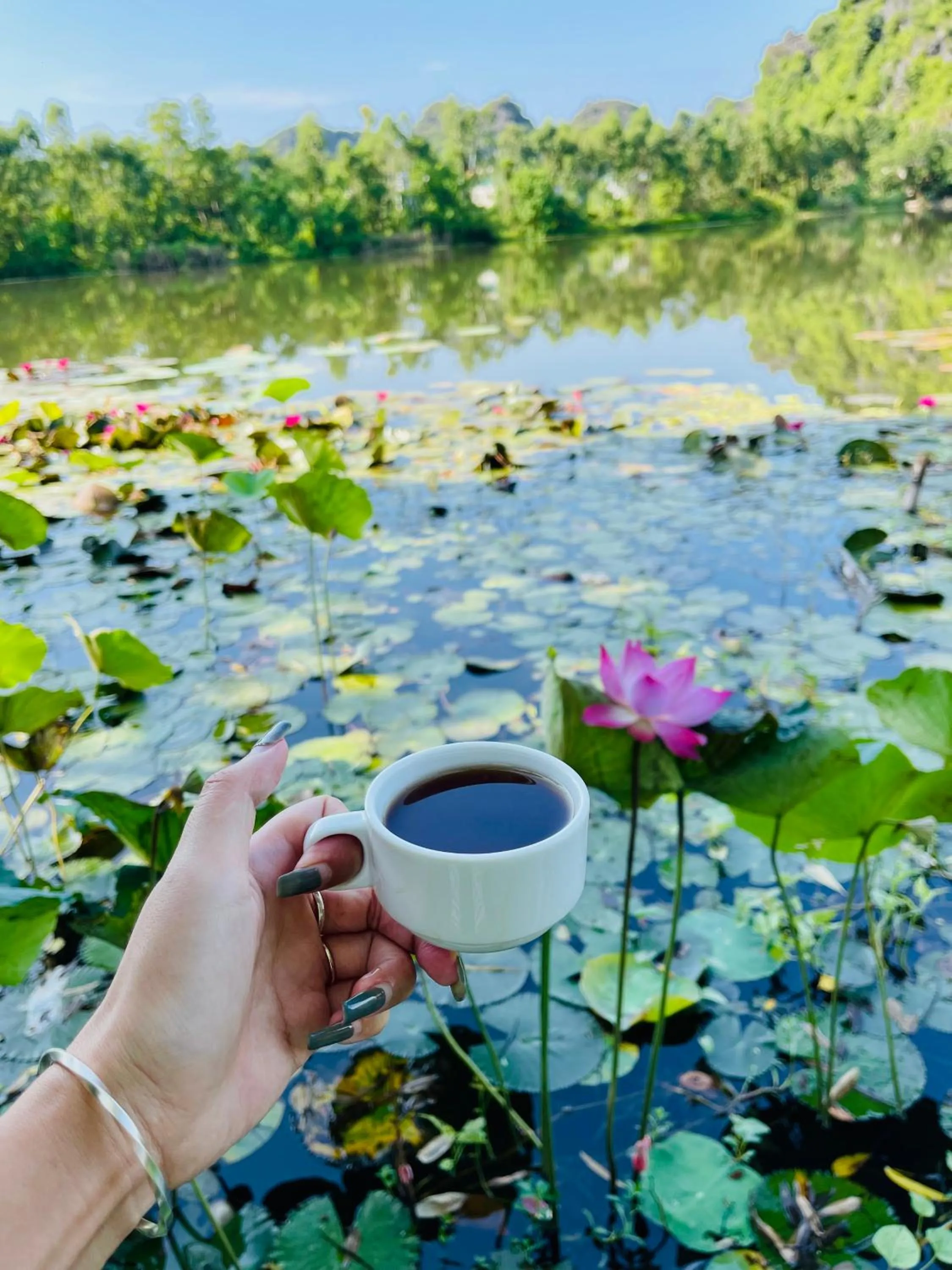 Lake view in Trang An Lotus Lake Homestay