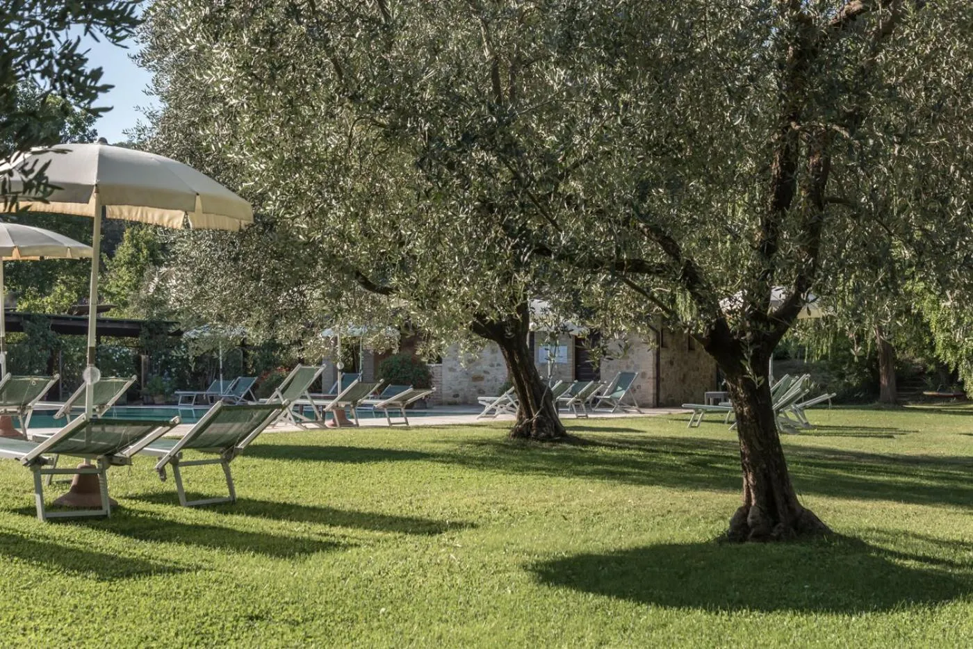 Garden in Borgo Al Cerro