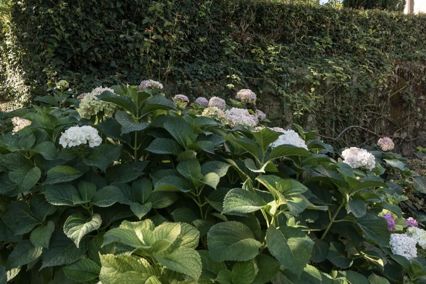Garden in Borgo Al Cerro