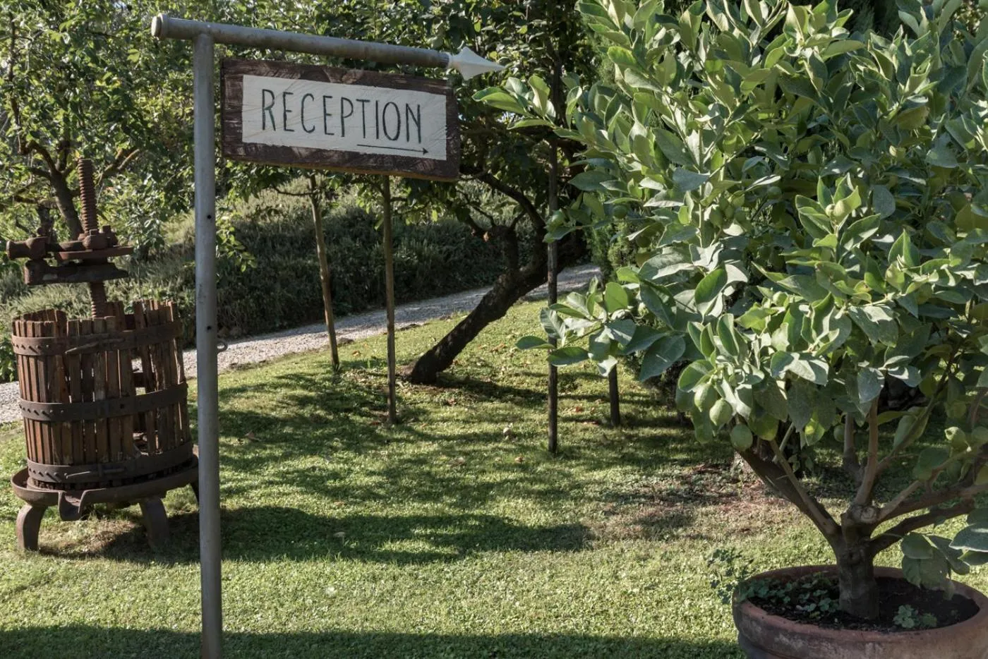 Garden in Borgo Al Cerro