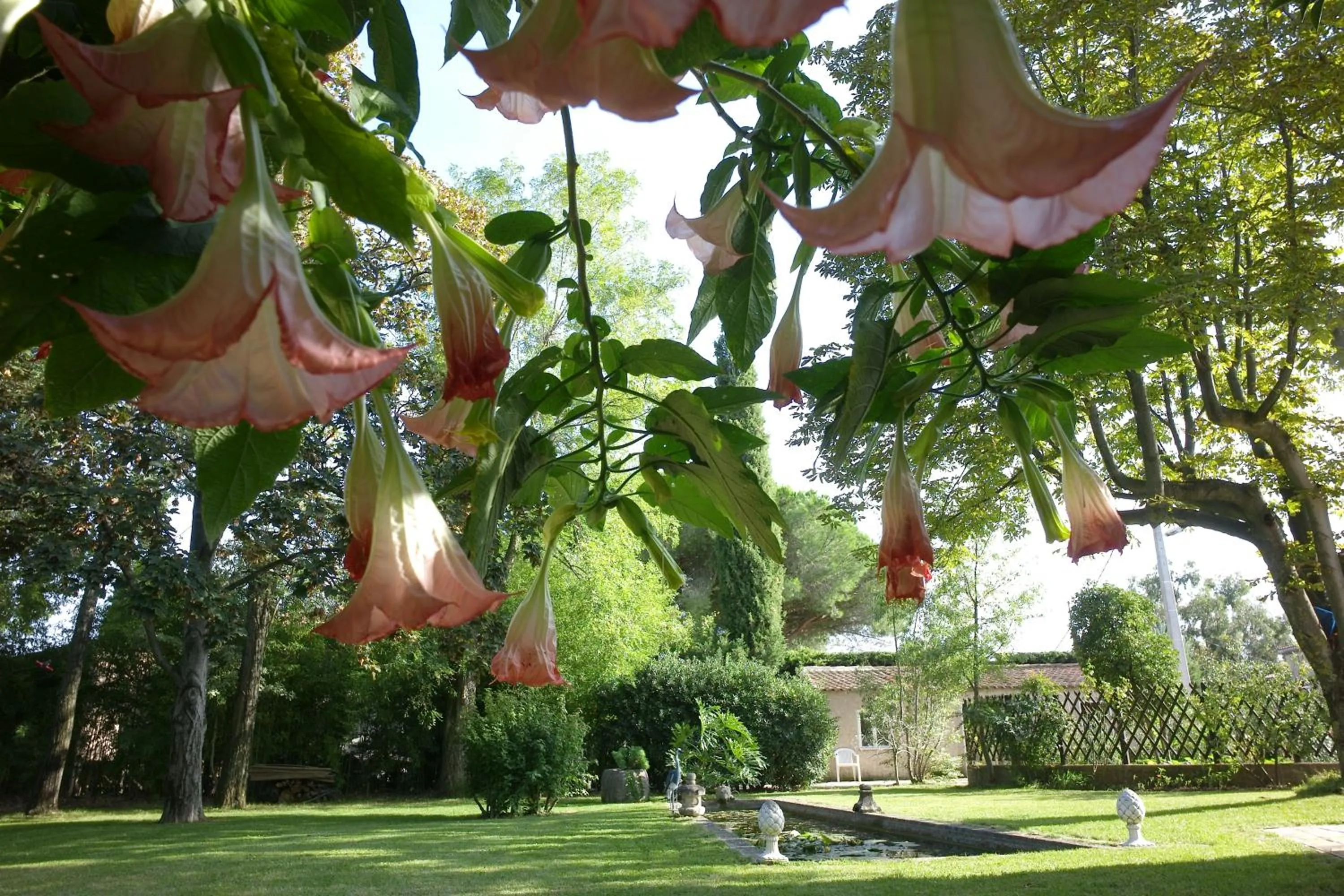 Garden in Le Mas du Chanoine