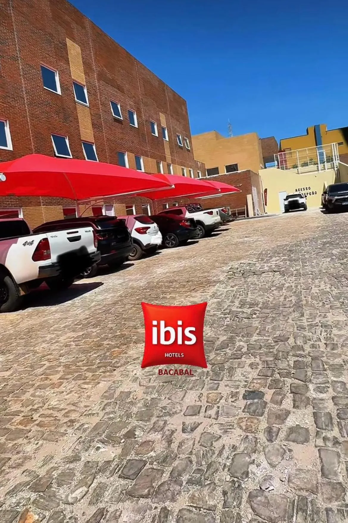 Ibis Bacabal