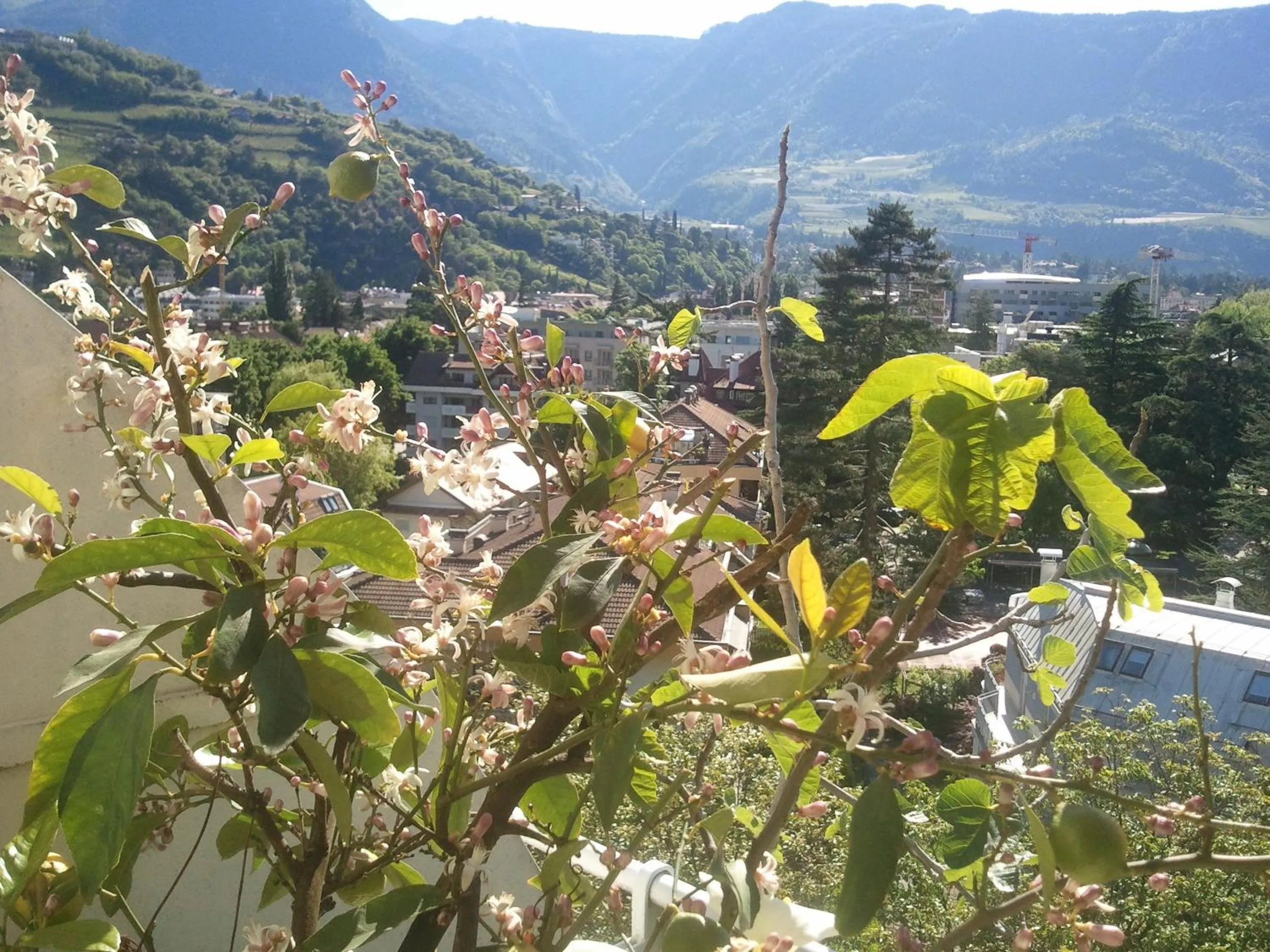 City view in Hotel Lux