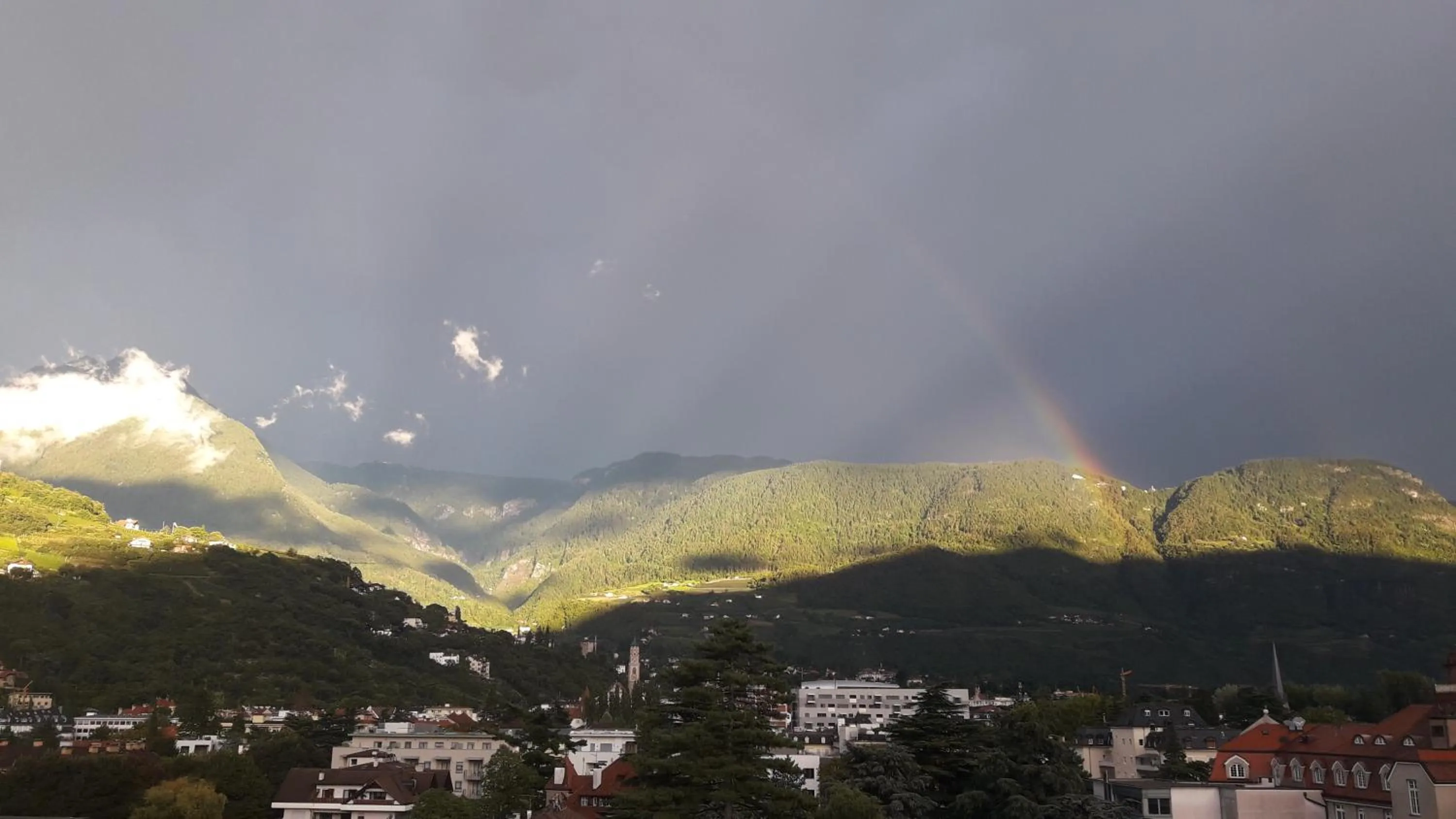 Natural landscape in Hotel Lux