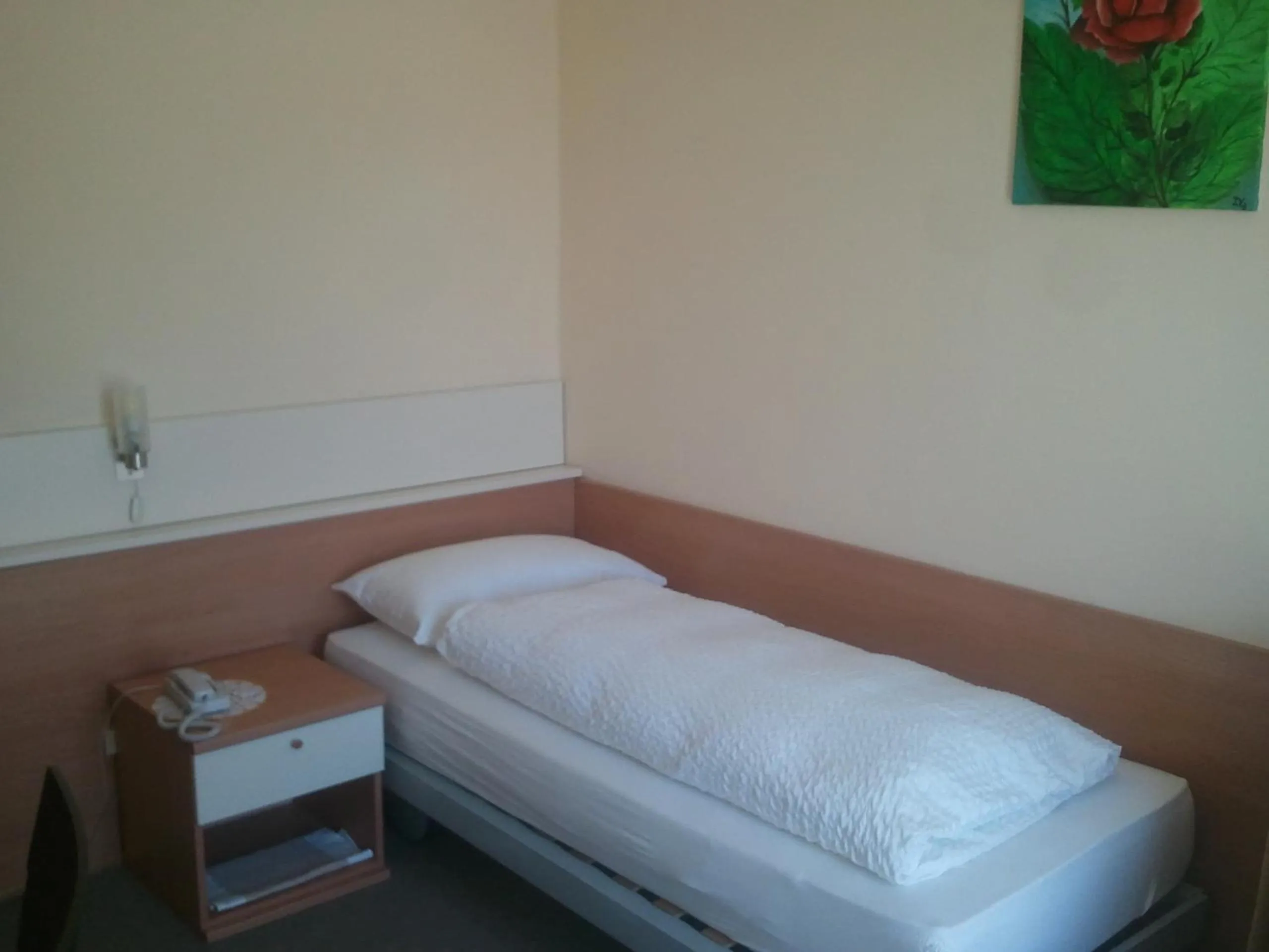 Photo of the whole room, Bed in Hotel Lux