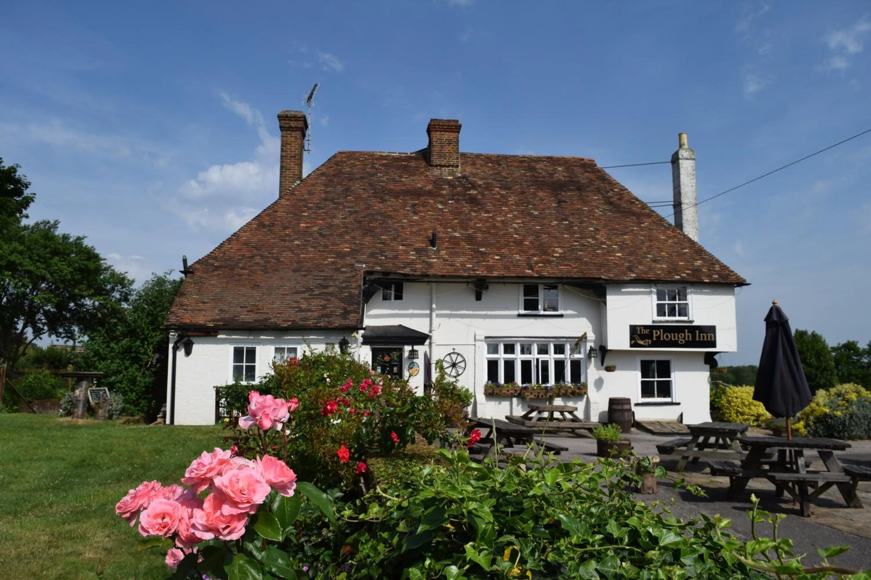 Restaurant/places to eat, Property Building in The Plough Inn