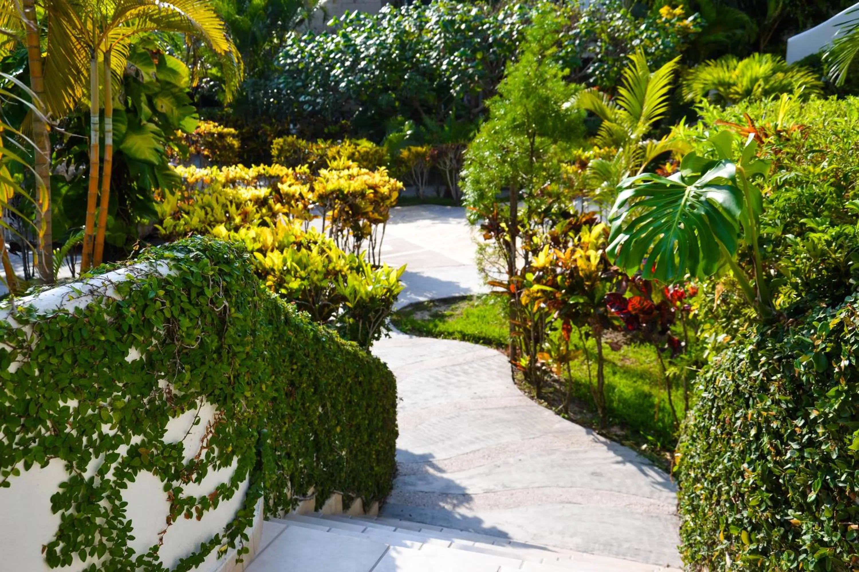 Patio in Bon Jesus Hotel