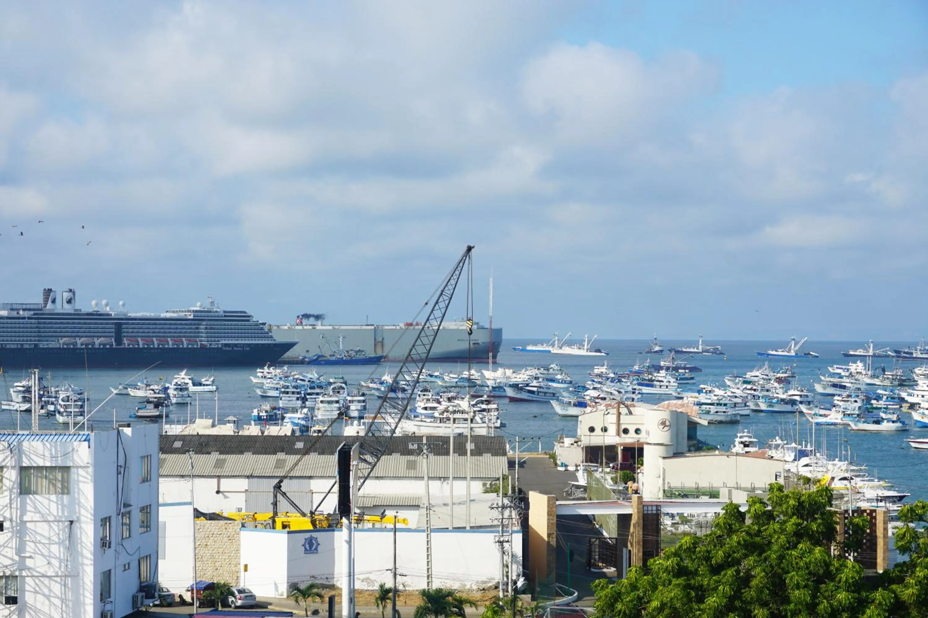 Nearby landmark in Hotel Perla Spondylus
