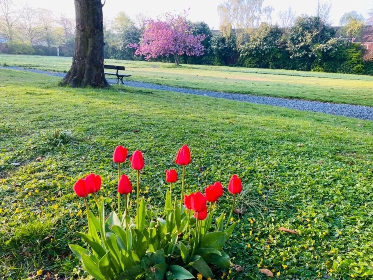 Garden view in Endsleigh Park Hotel