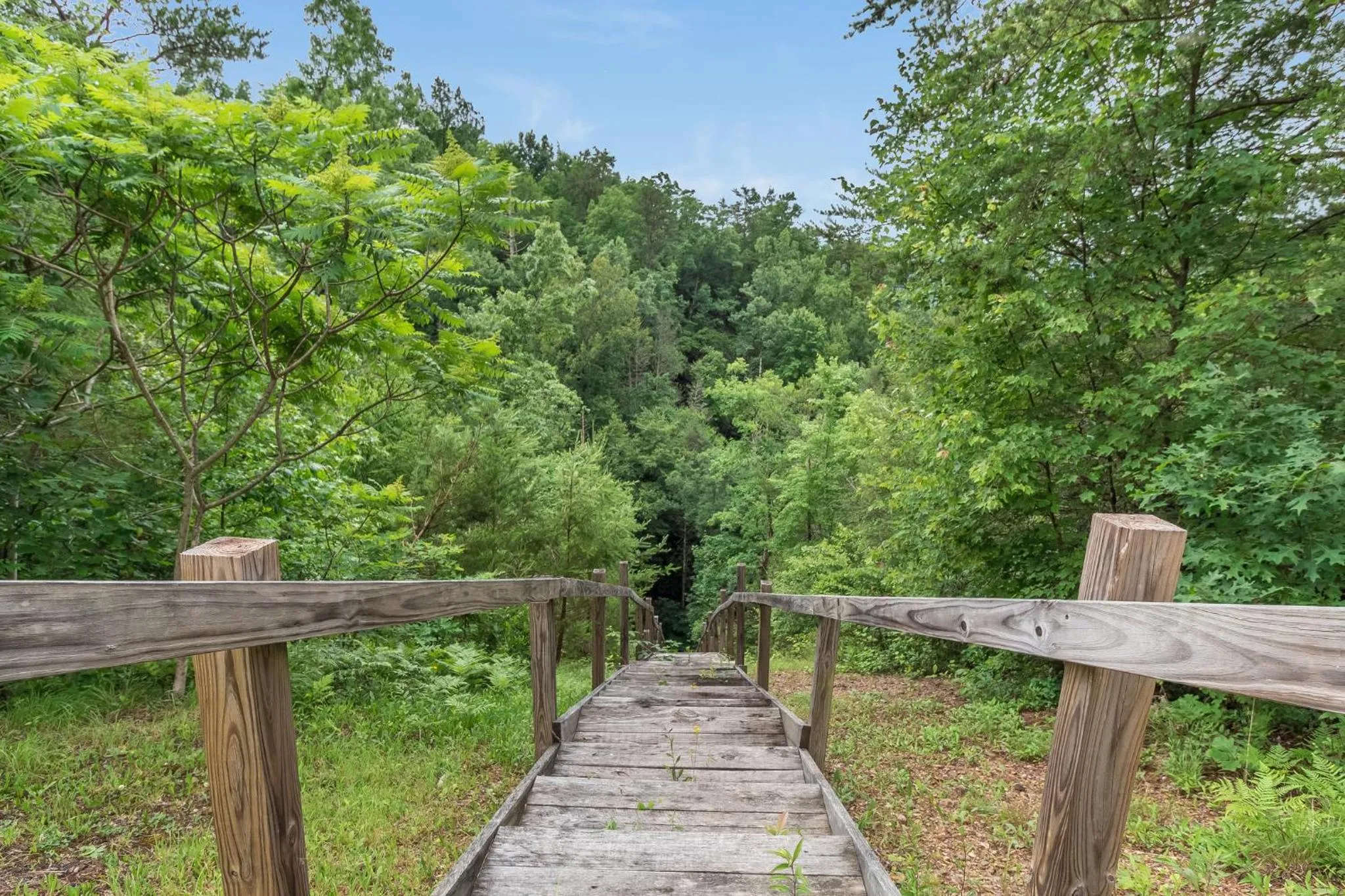 Garden in Cajun Spice