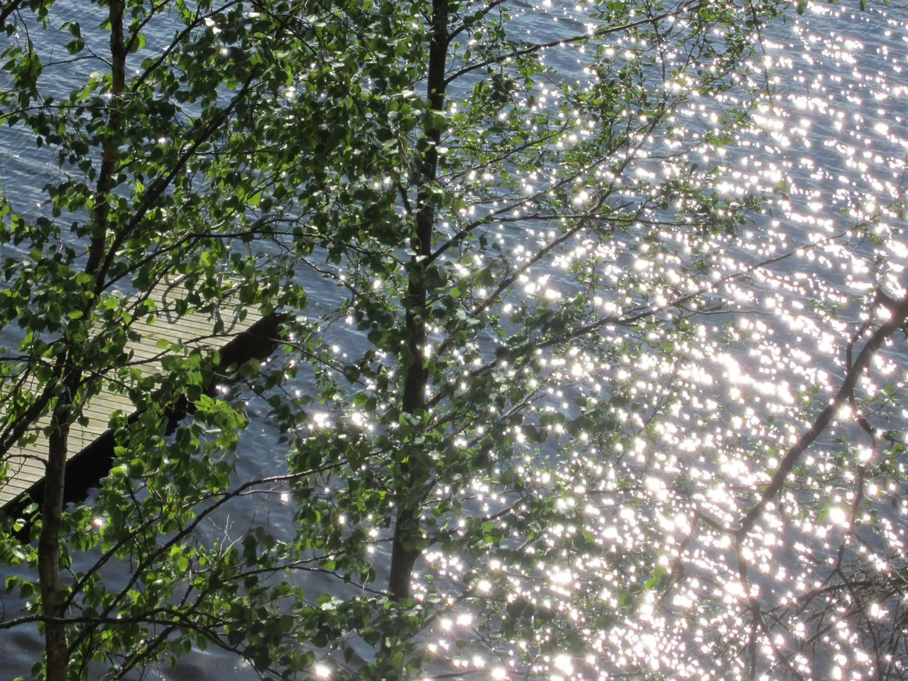 Spring in Yli-Kaitala Holiday Resort Tuuliviiri