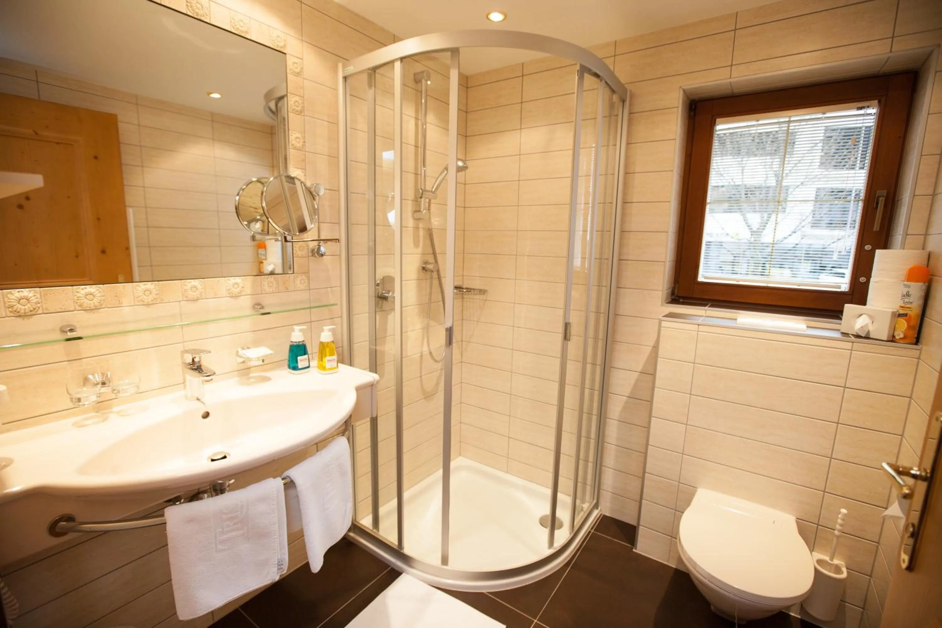 Shower in Alpenresidenz Trisanna