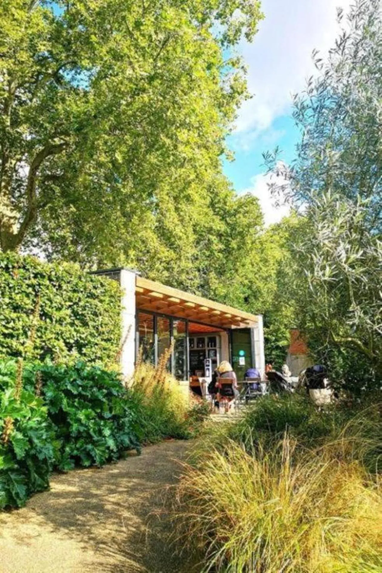 Area and facilities in Hotel 63