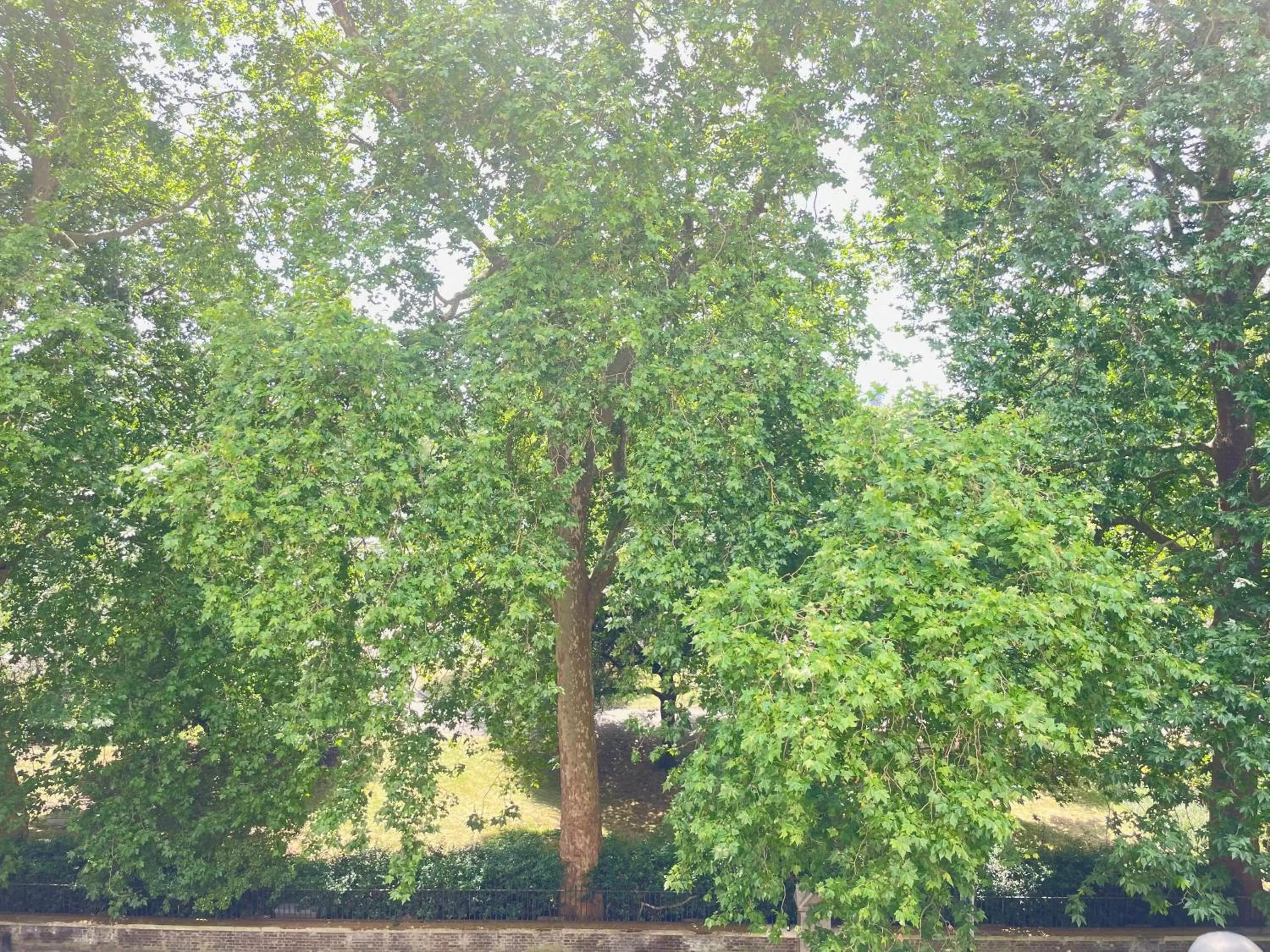 Street view in Hotel 63