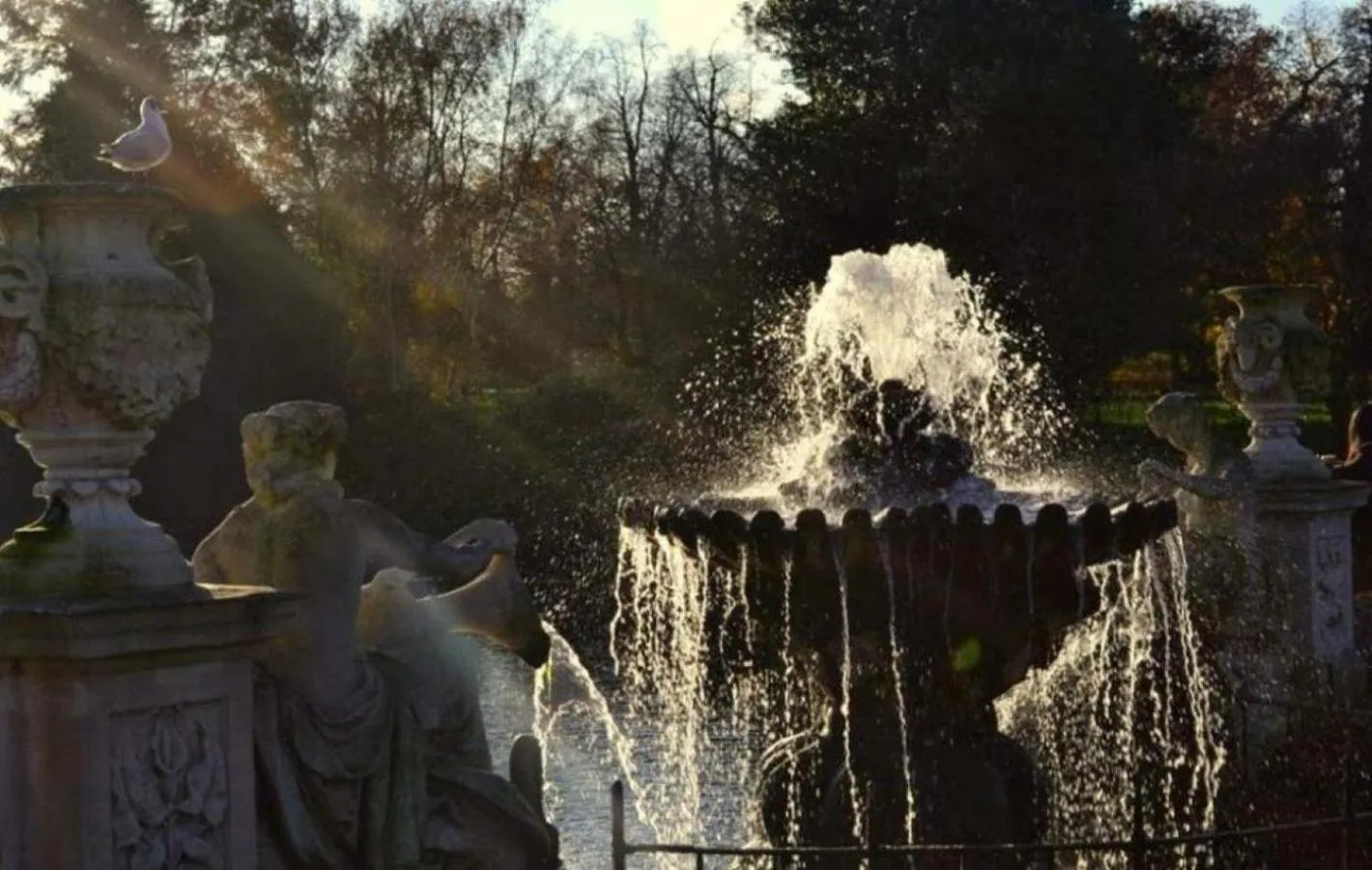 Area and facilities in Hotel 63