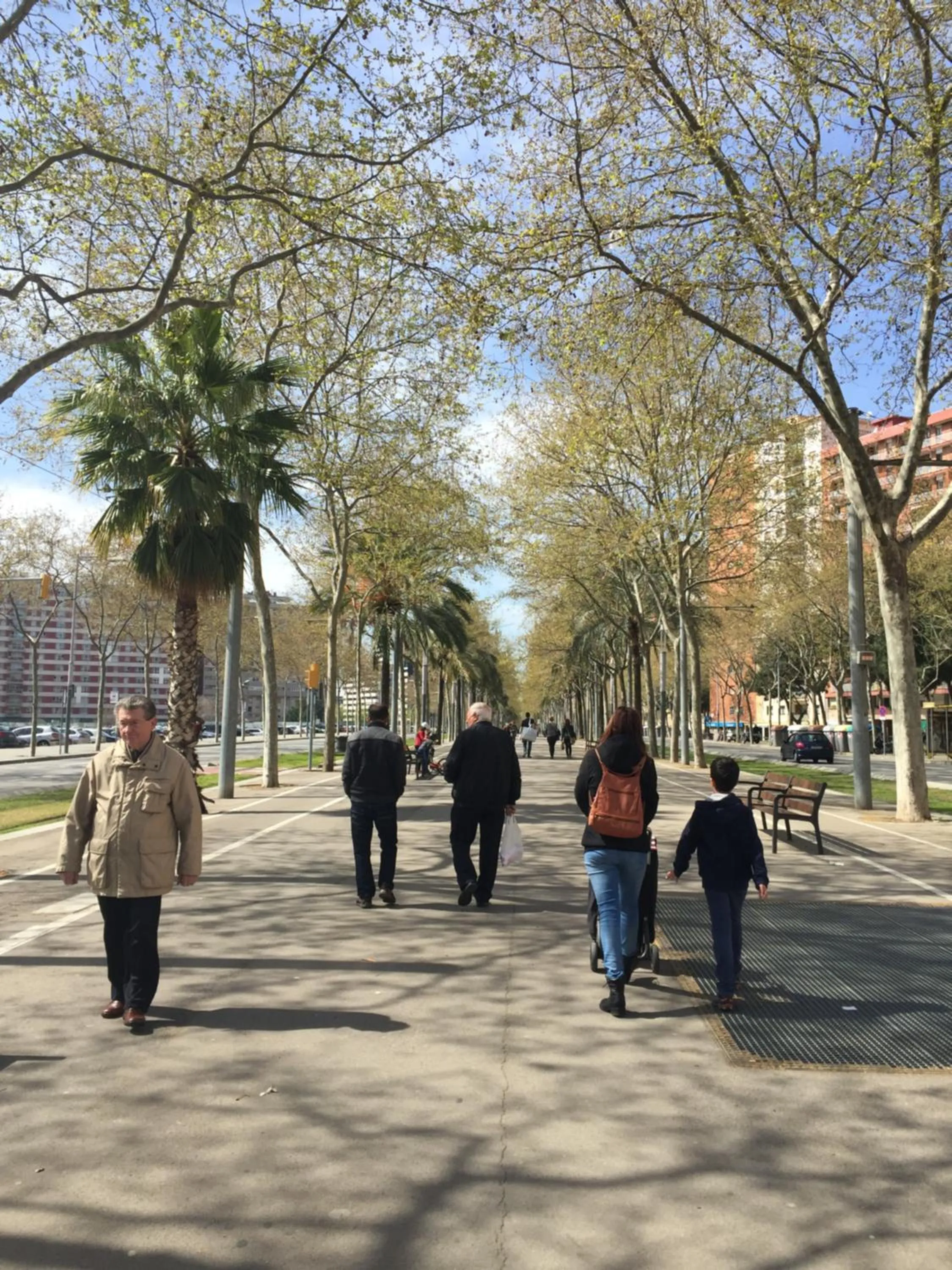 Restaurant/places to eat in Charm Miró