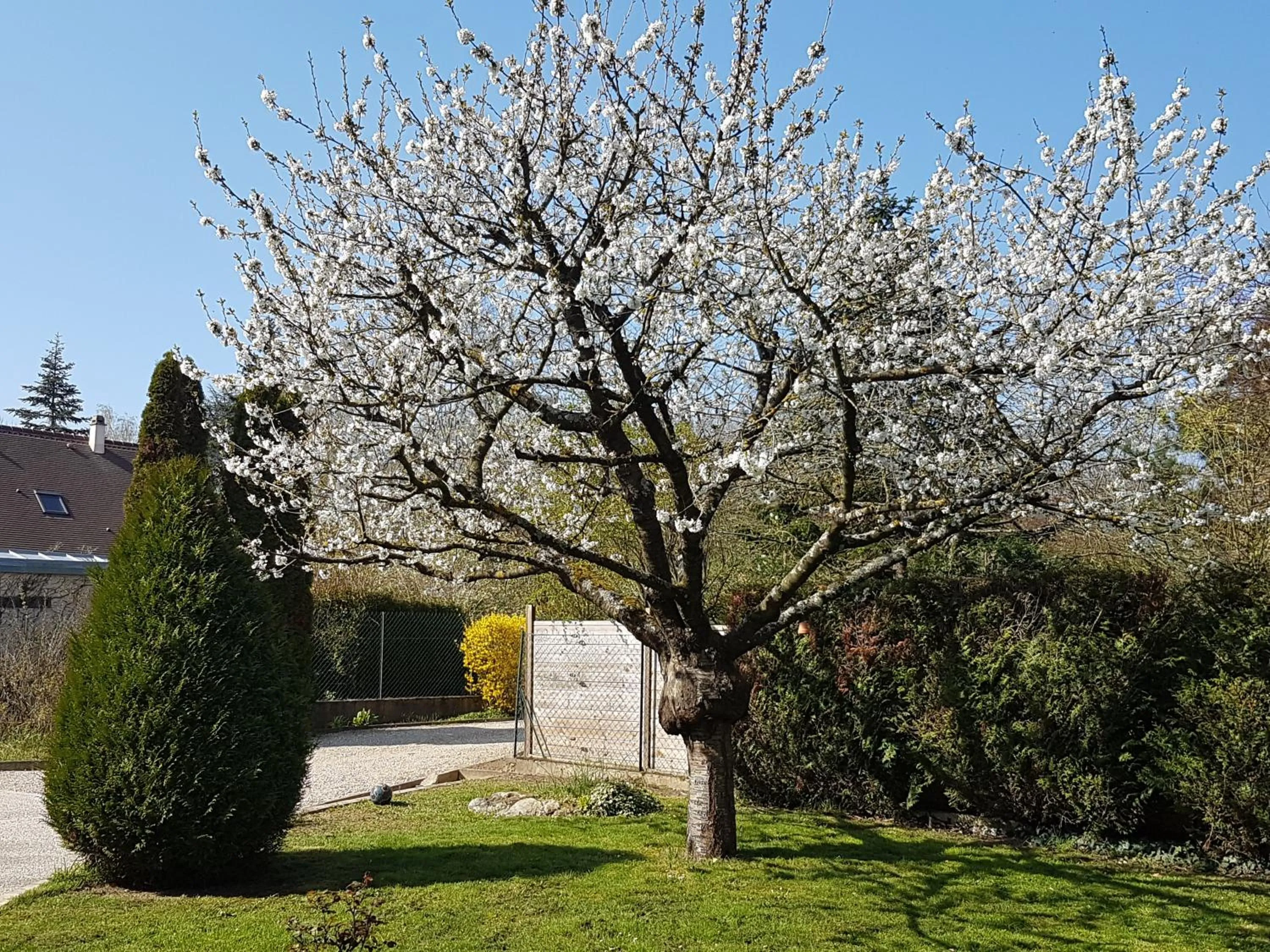 Garden in Le Clos Magedon