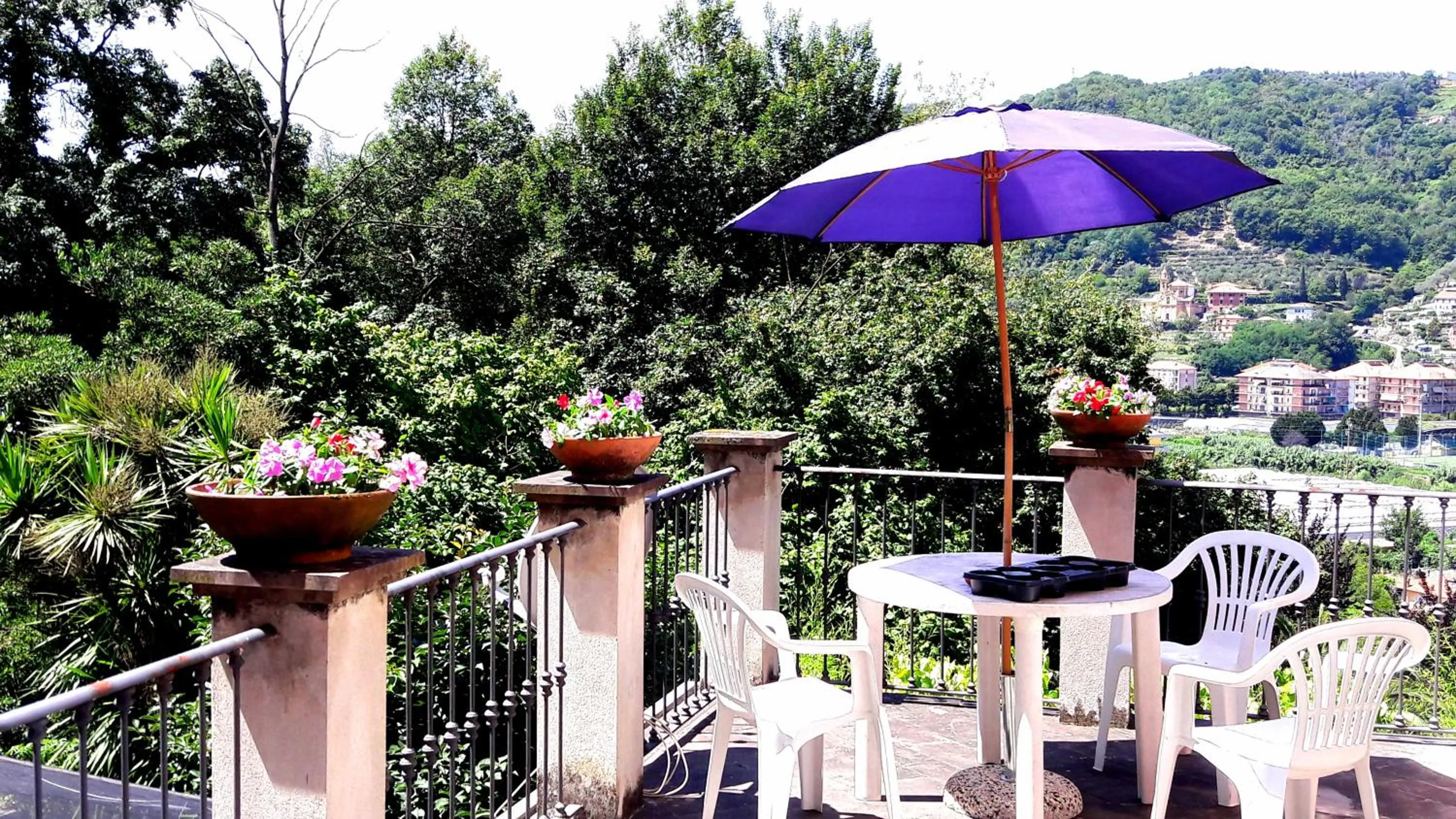 View (from property/room) in The italian riviera