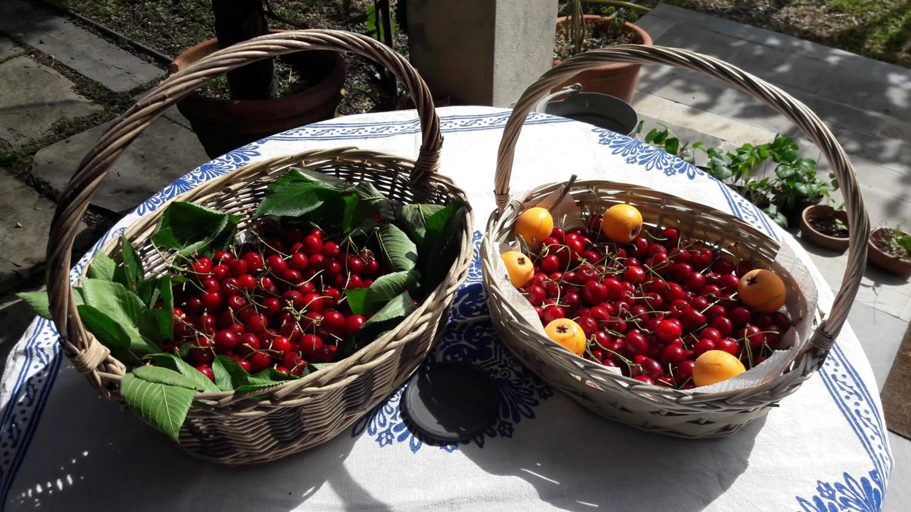 Patio in The italian riviera
