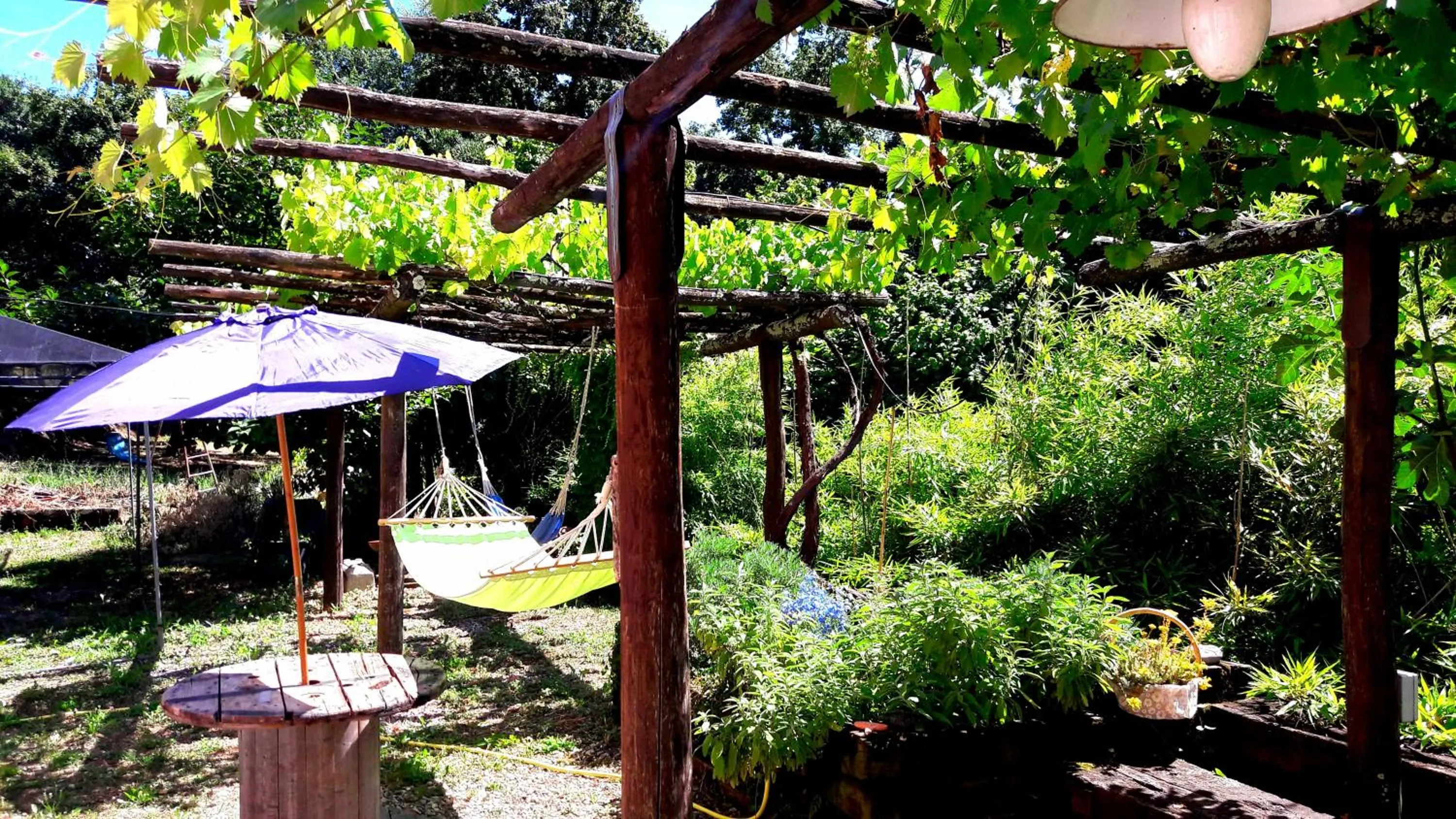 Garden in The italian riviera