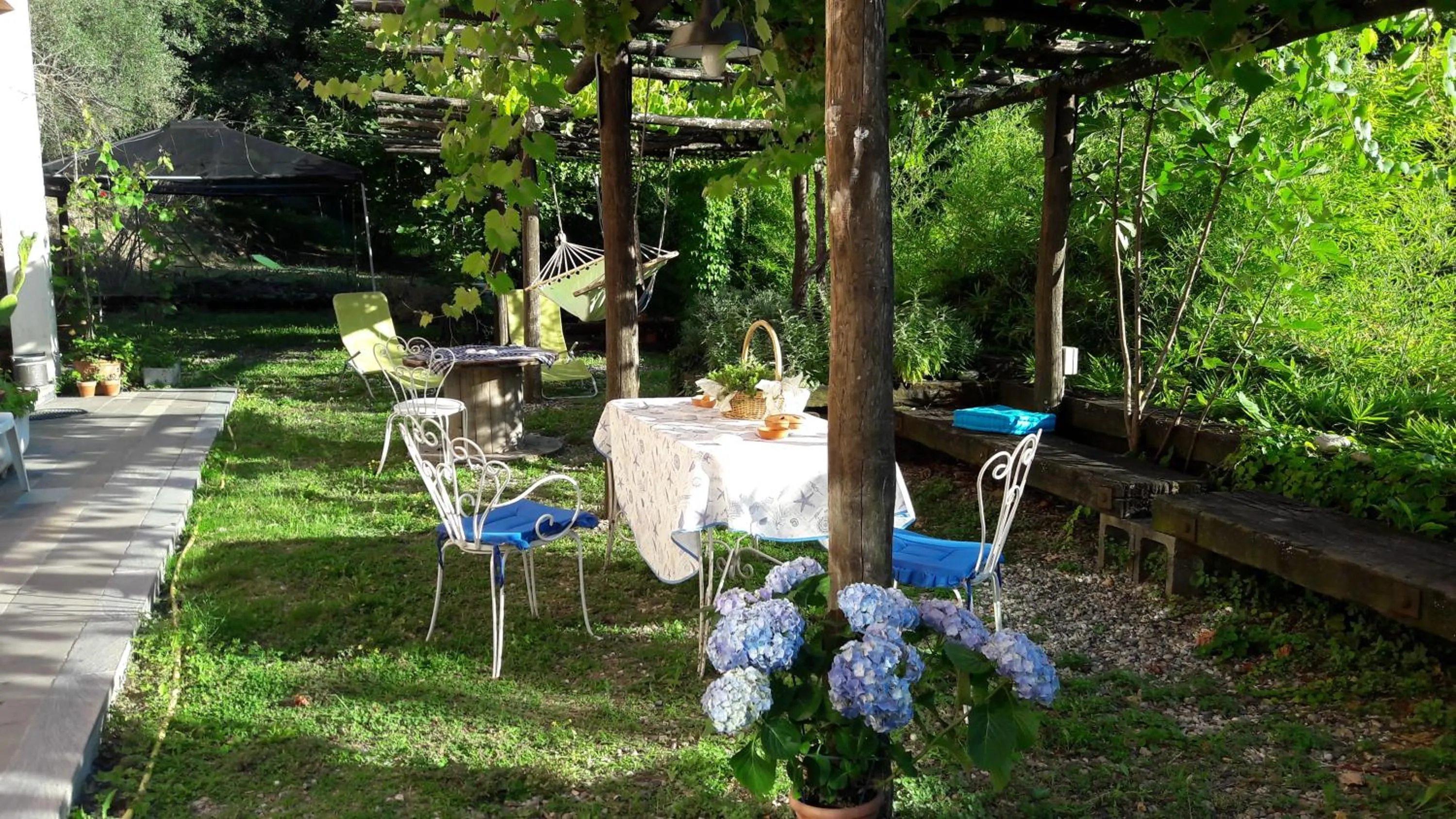 Garden in The italian riviera