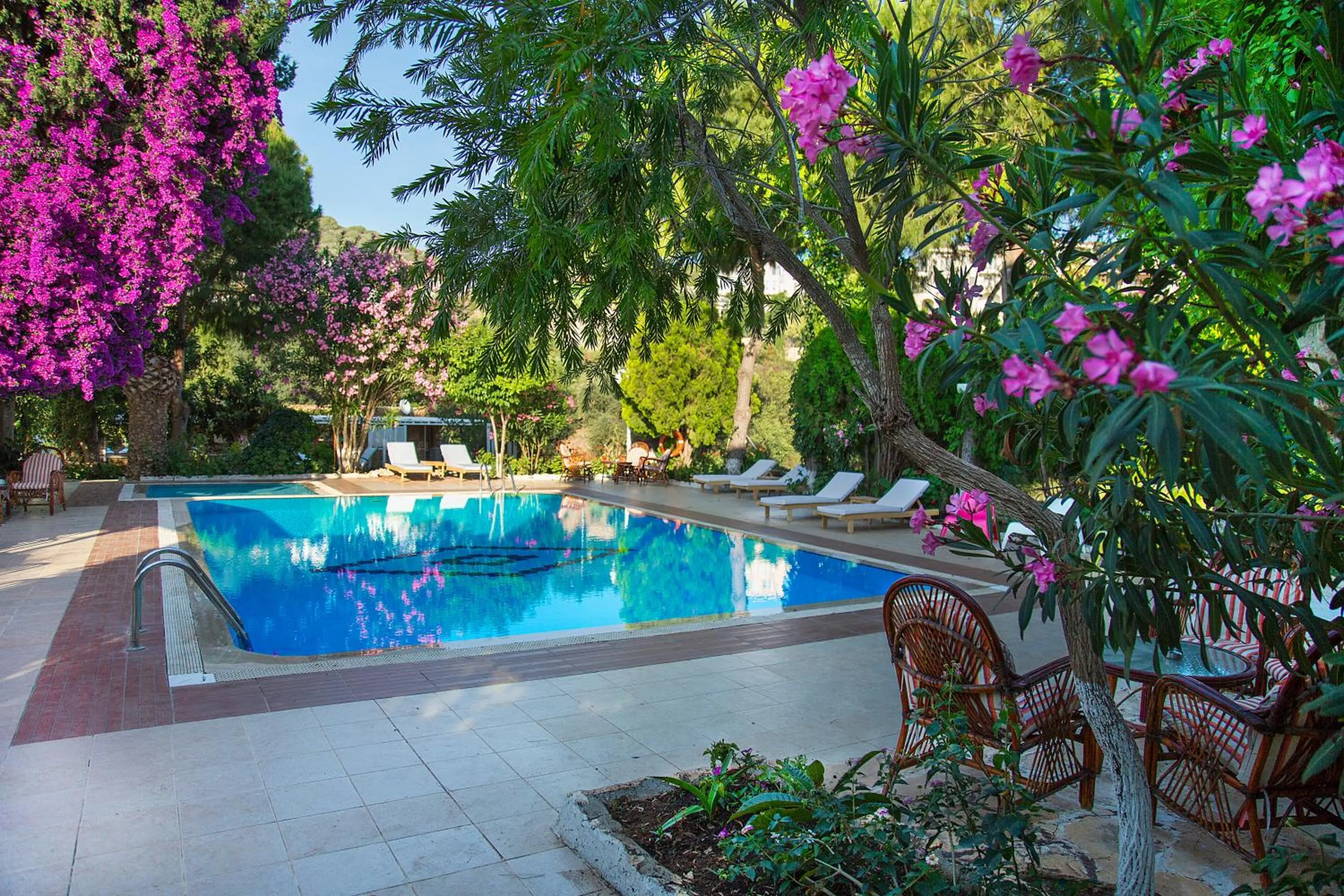 Day, Swimming Pool in Club Antiphellos