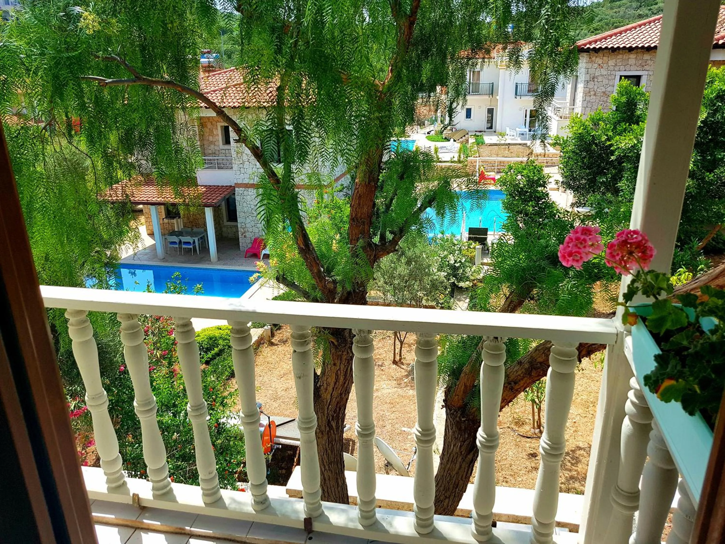 Pool View in Club Antiphellos