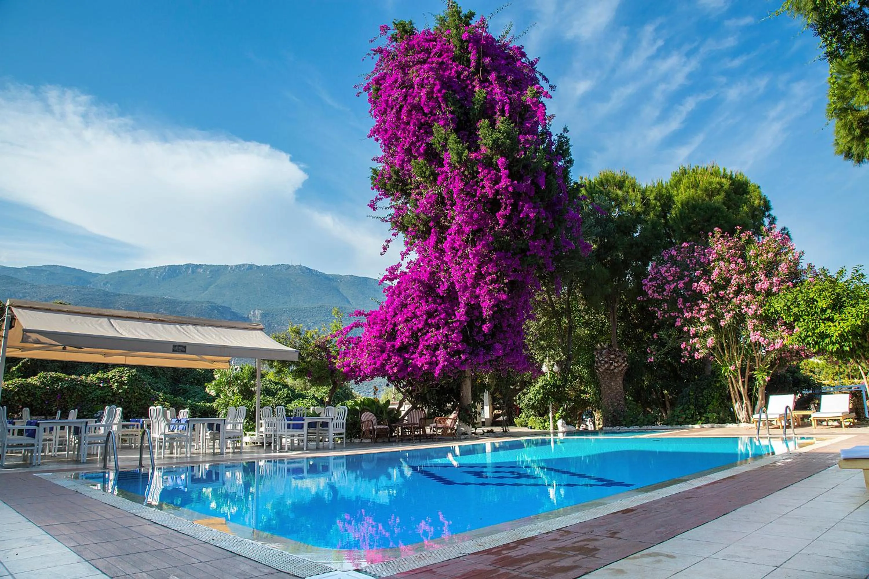 Day, Swimming Pool in Club Antiphellos