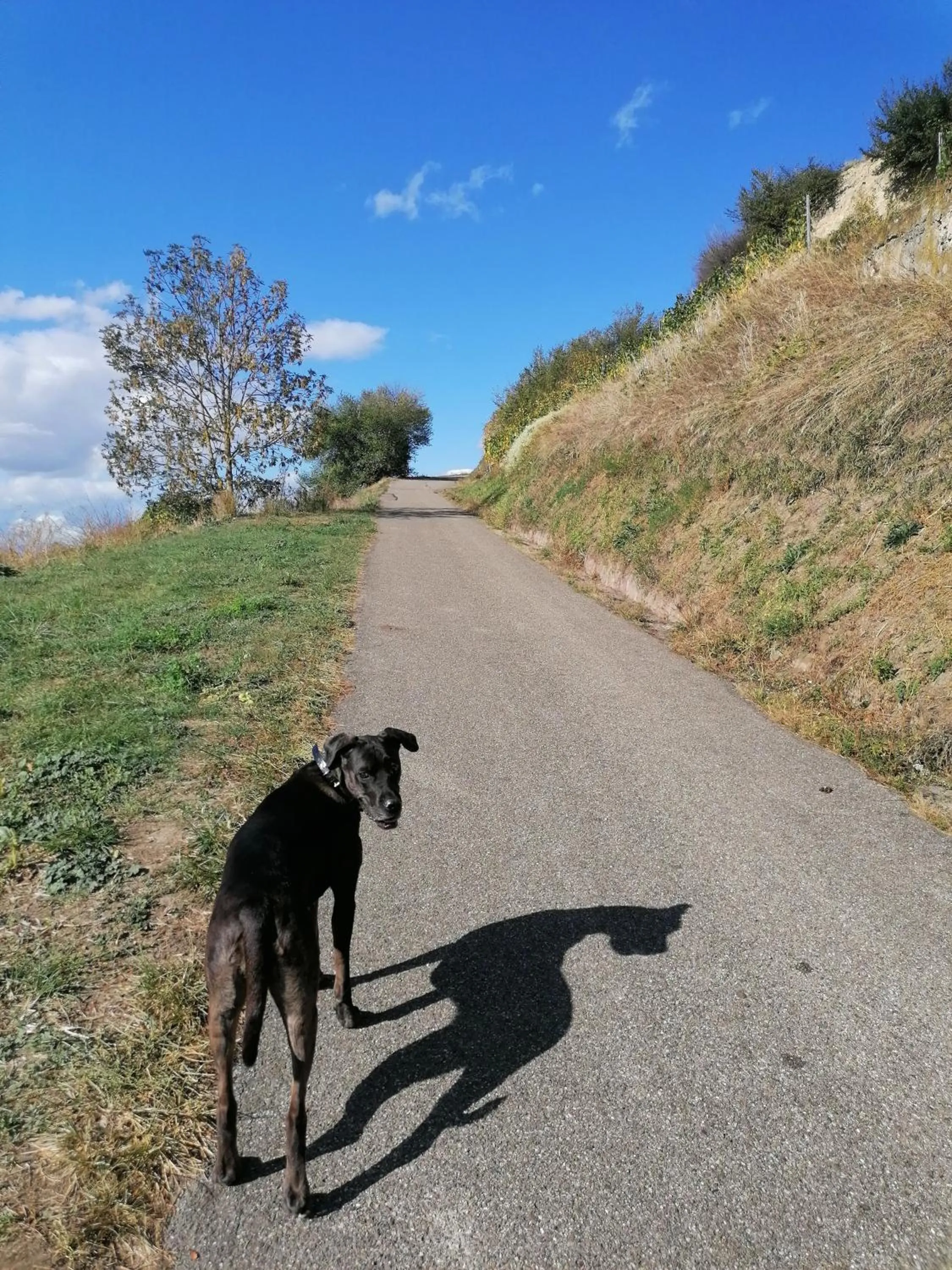 Staff in Hotel-Restaurant Rebstock