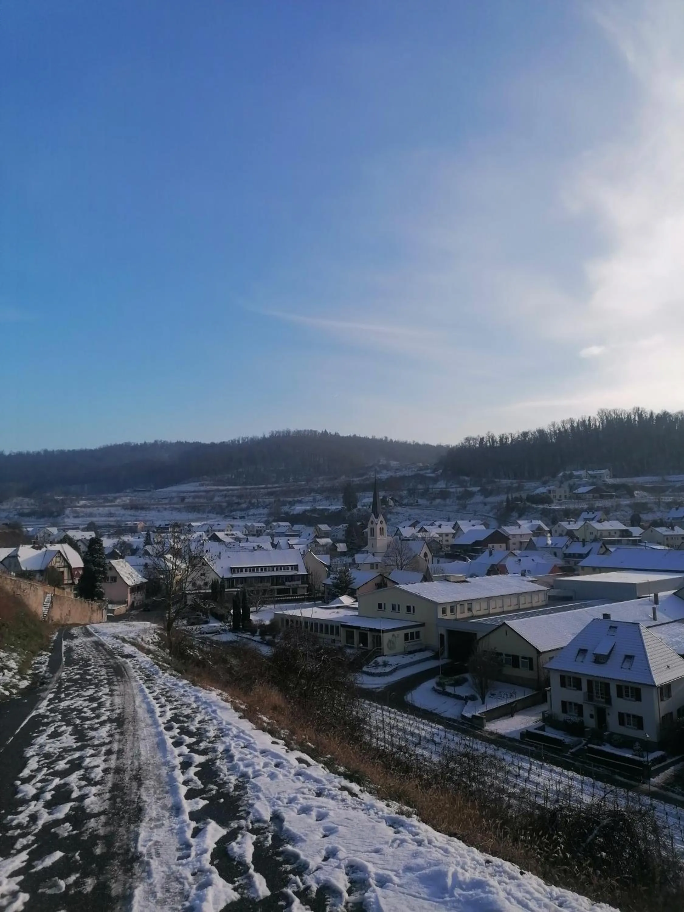 Hotel-Restaurant Rebstock