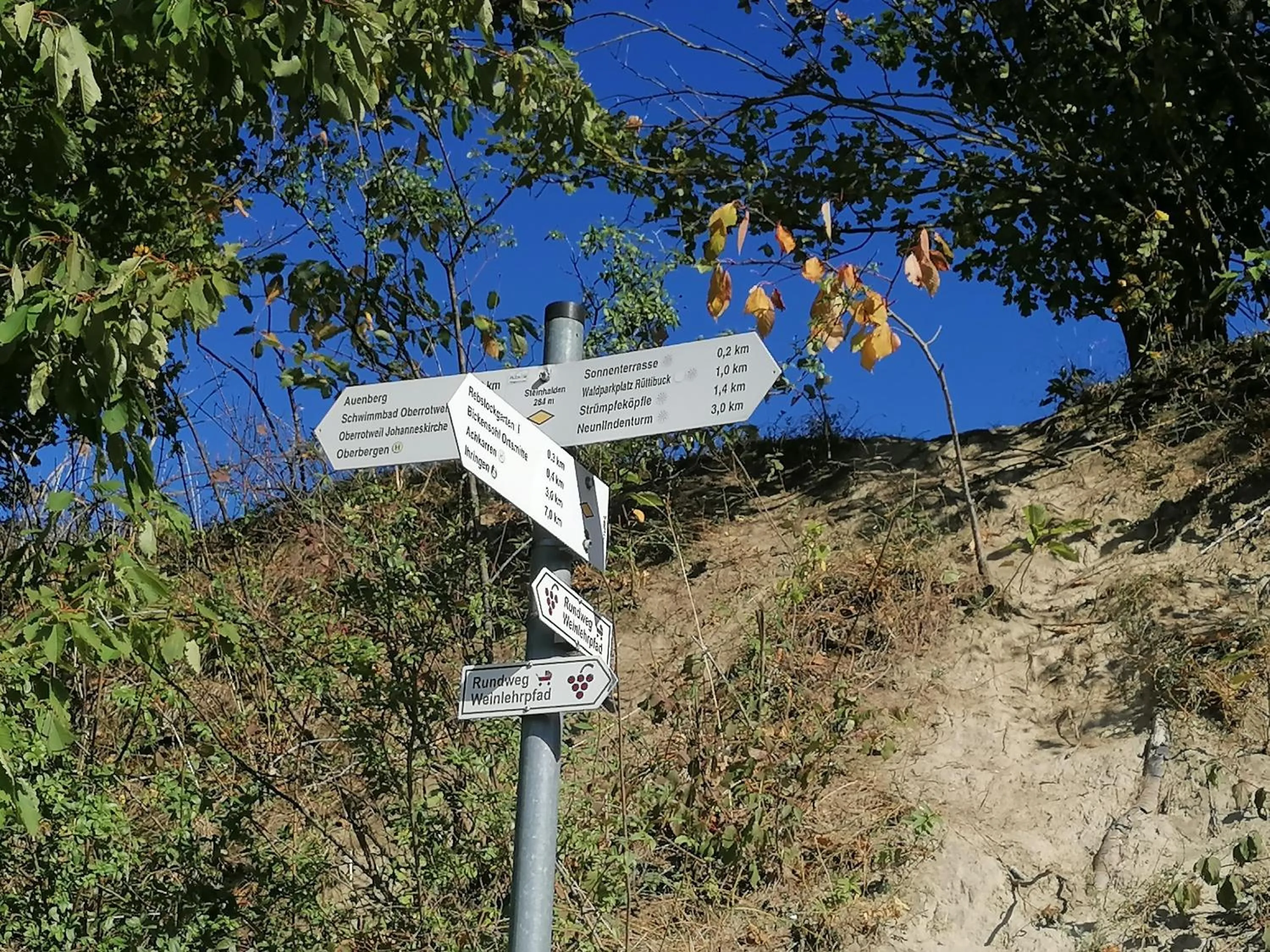 Staff in Hotel-Restaurant Rebstock