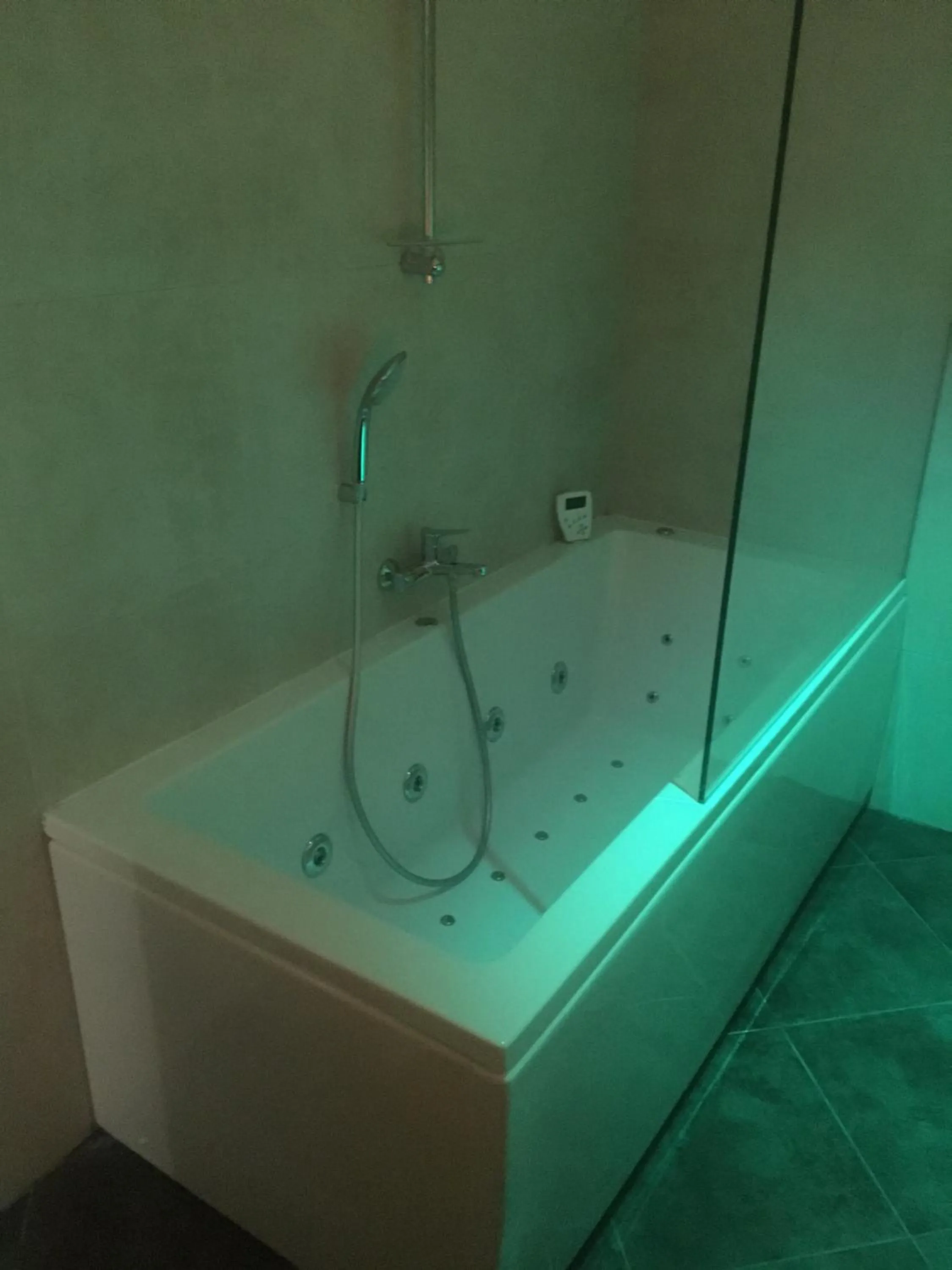 Bathroom in Anna suite room