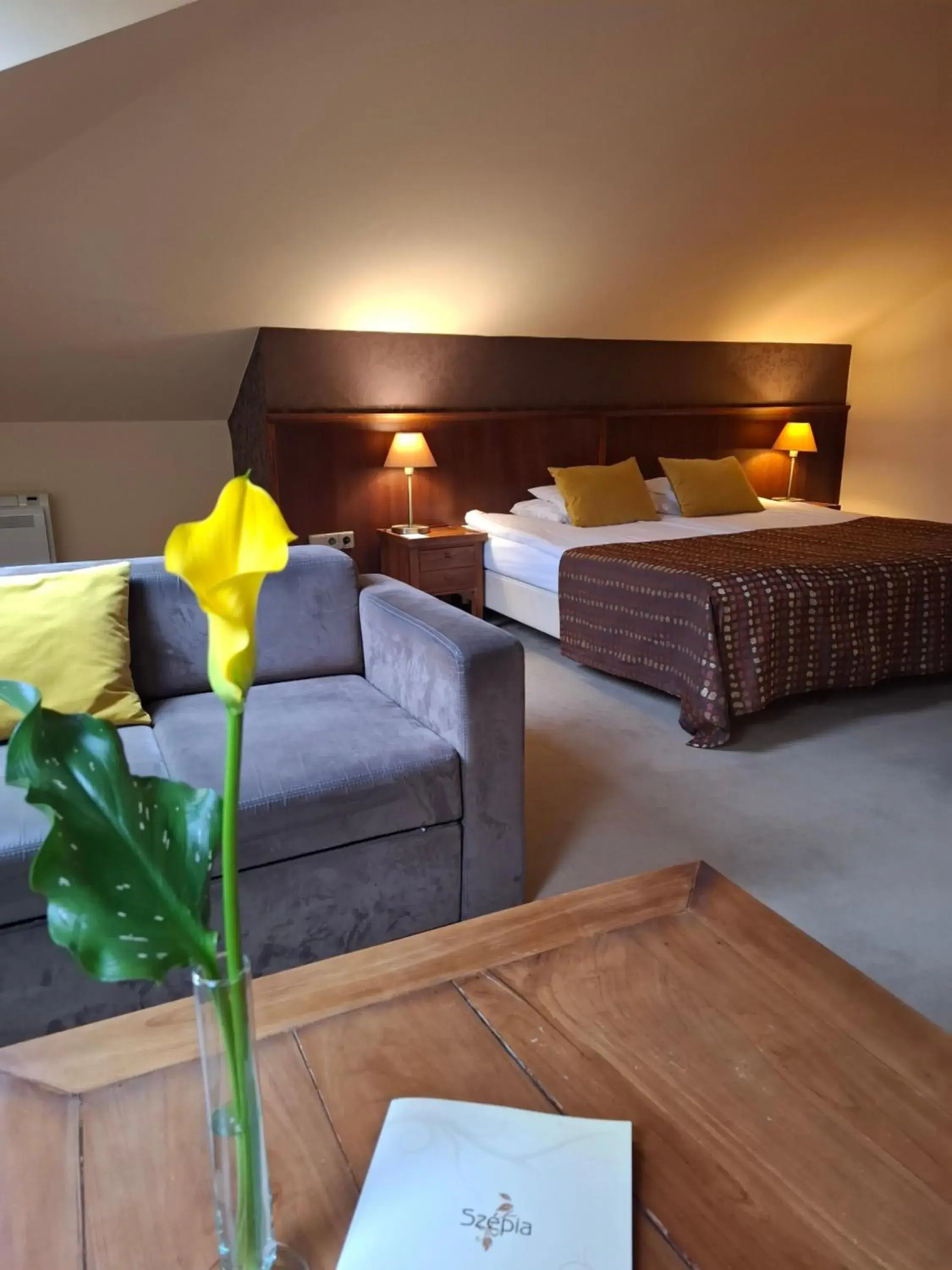 Superior Double/Twin Room - single occupancy in Szépia Bio and Art Hotel Superior Double/Twin Room - single occupancy in Szépia Bio and Art Hotel