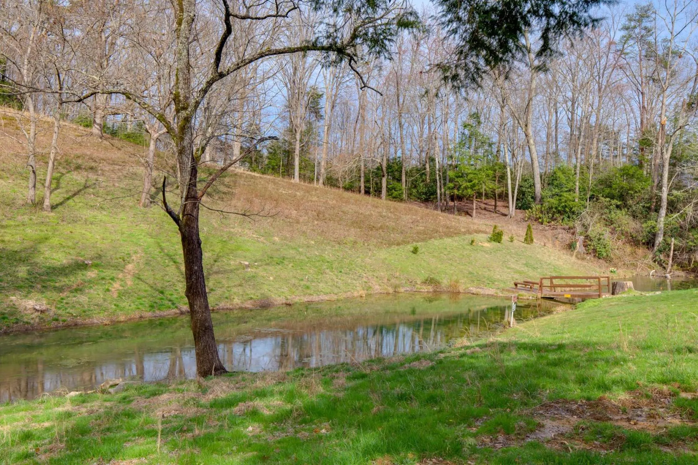 Property building in Spring View