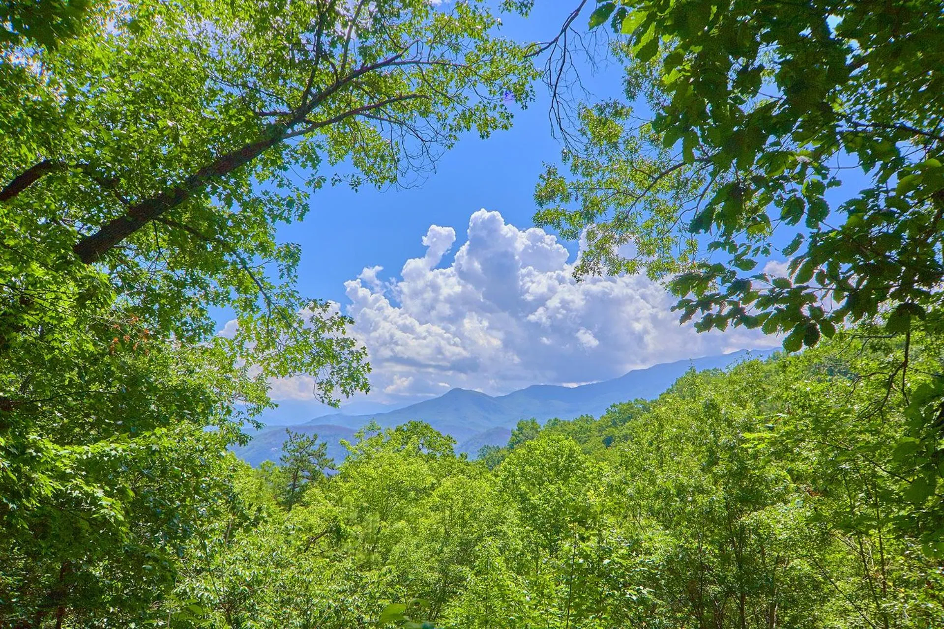 Property building in Sweet Blessings