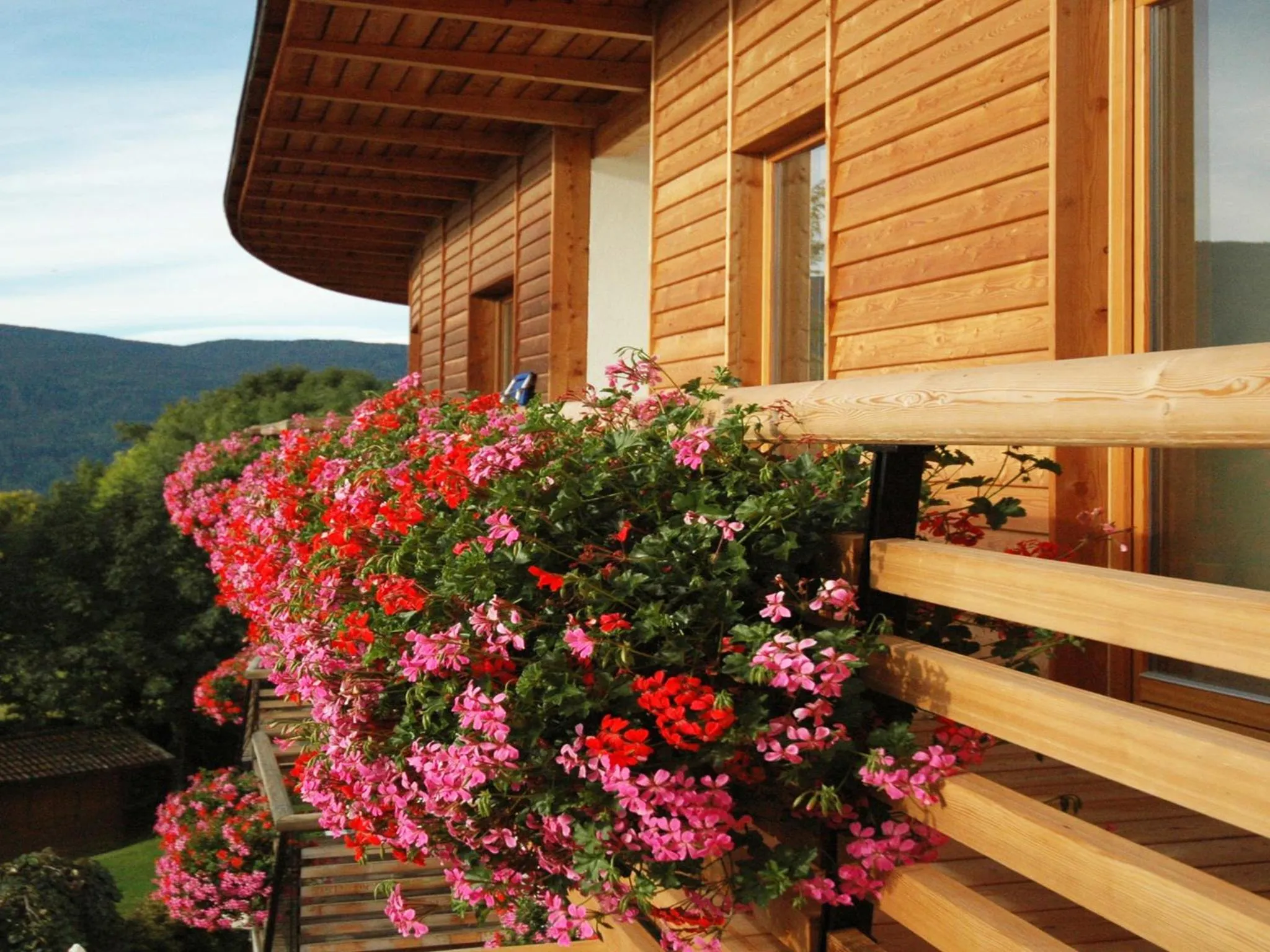 Facade/entrance in Hotel Dolomitenblick