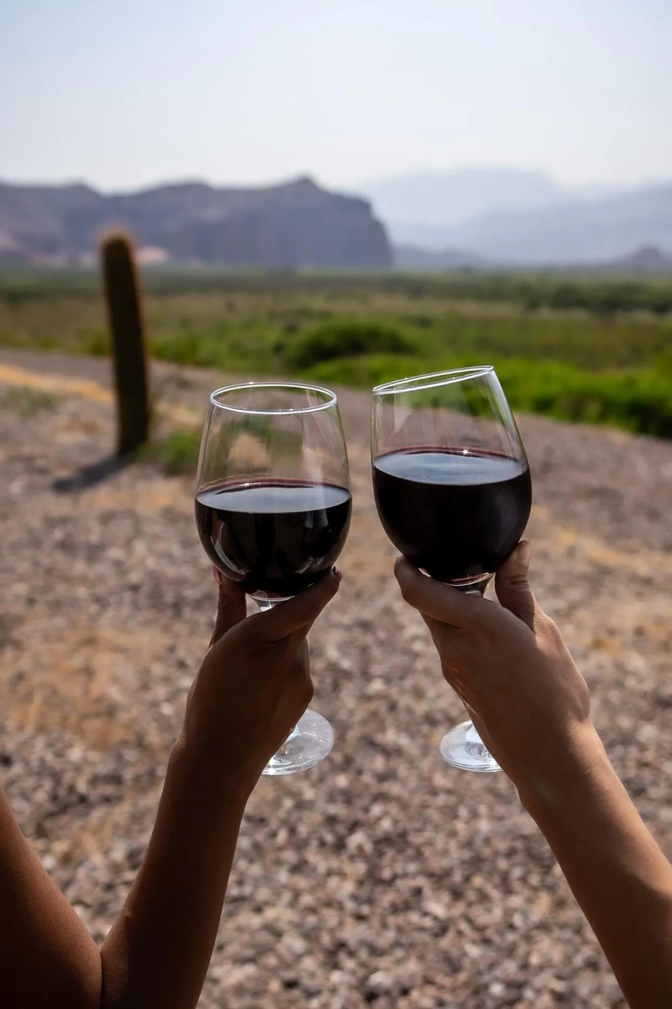 Property building in Hotel Castillos de Cafayate