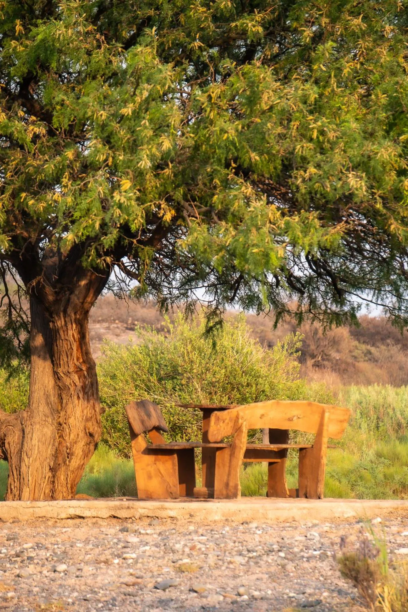Natural landscape in Hotel Castillos de Cafayate