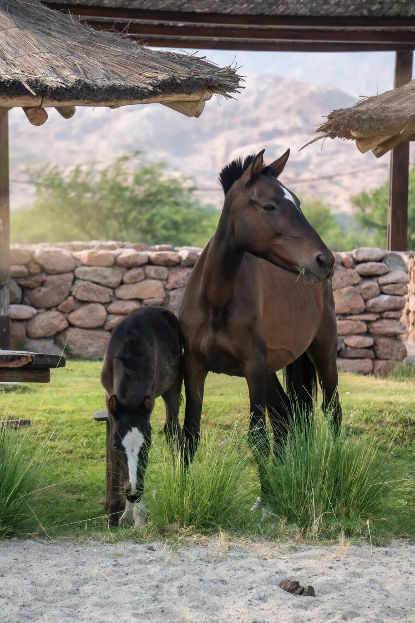 Activities in Hotel Castillos de Cafayate