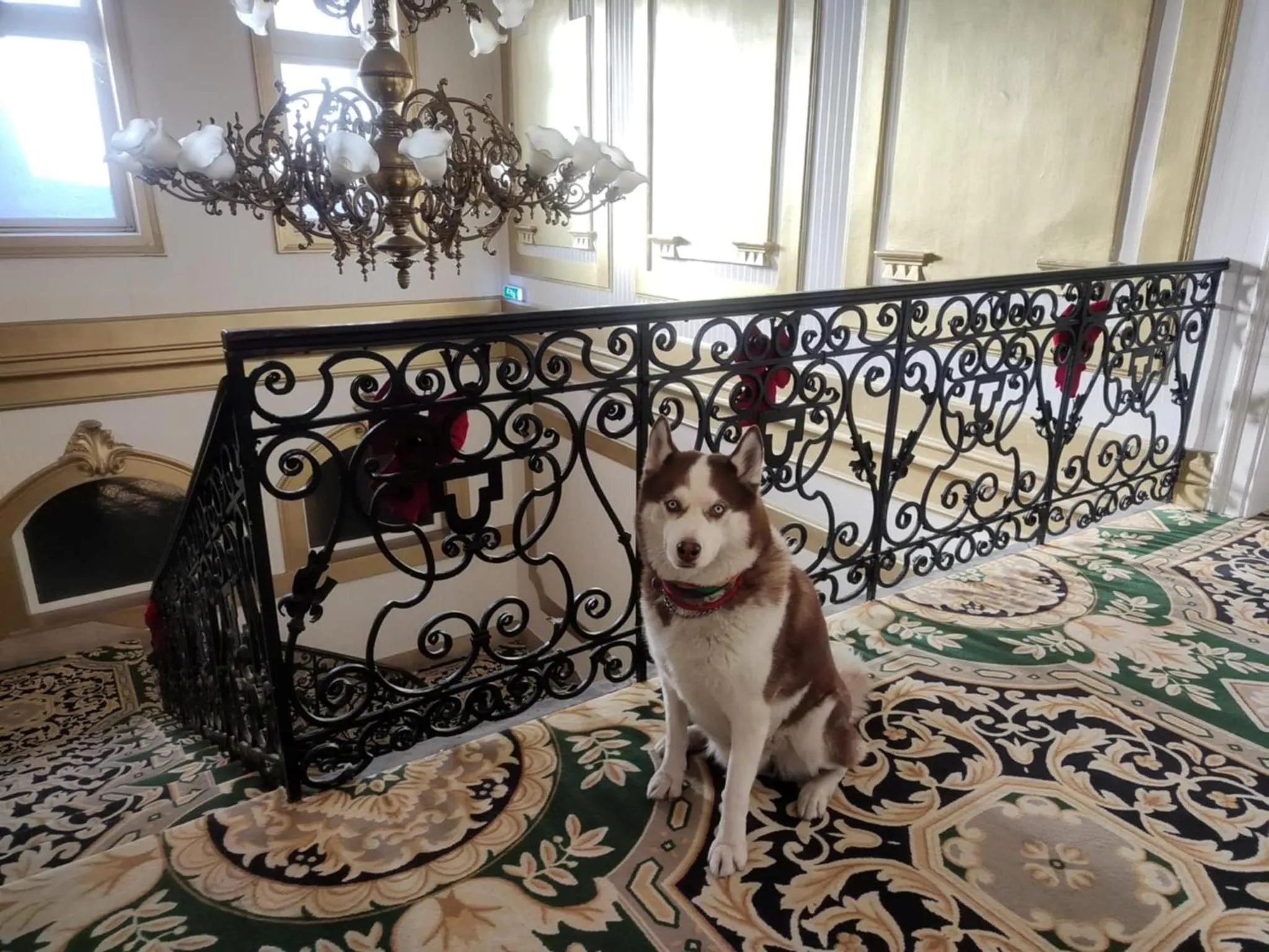 Property building in Korona Hotel