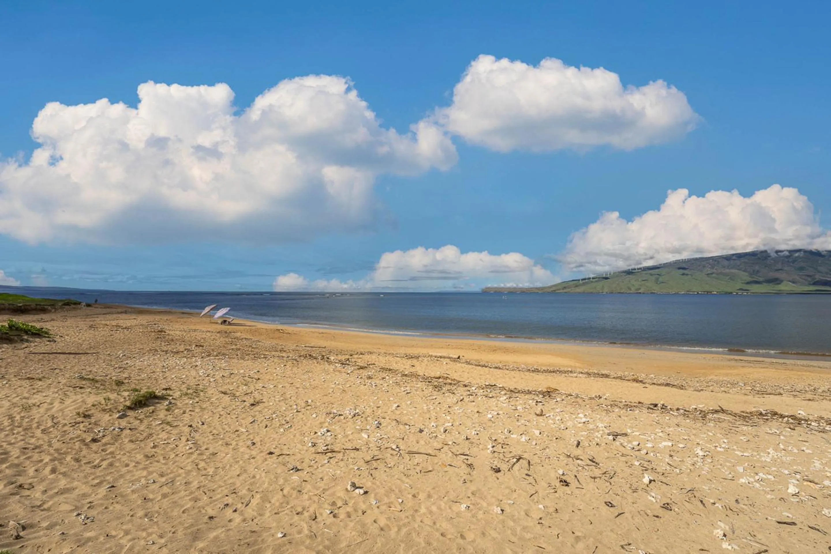 Property building in Koa Lagoon 506