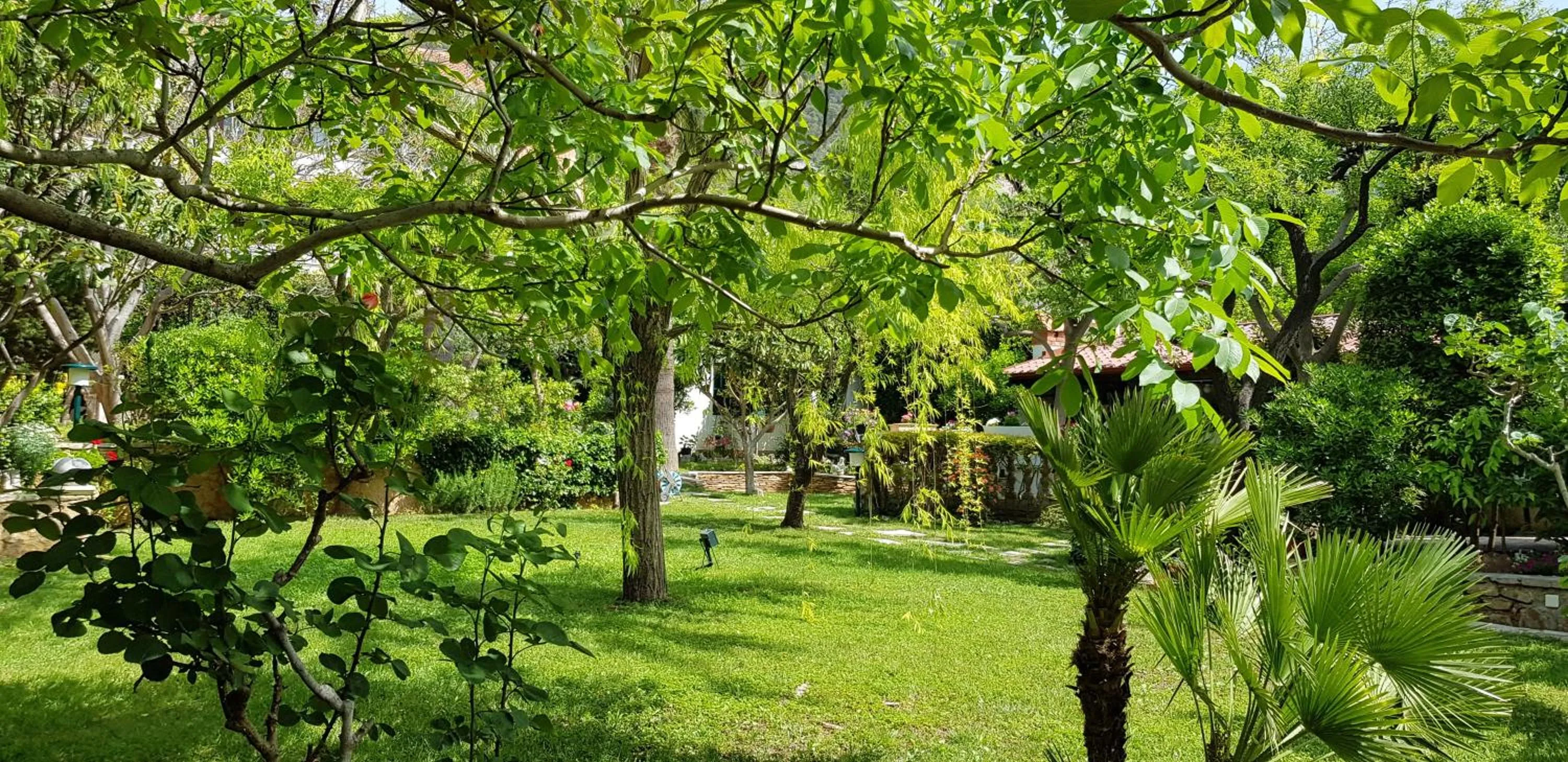 Garden in Villa Giardino Heritage Boutique Hotel Bol