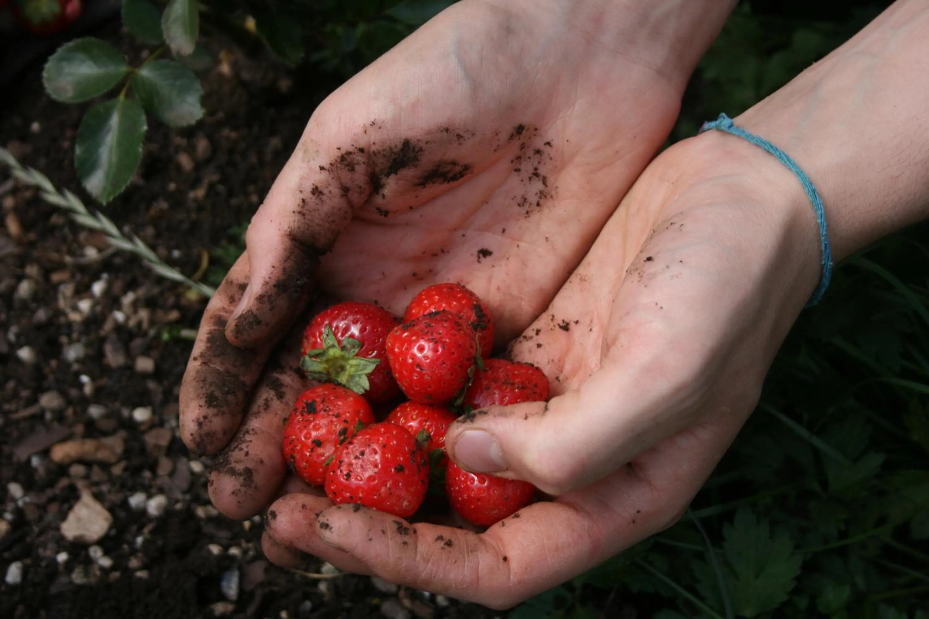 Food close-up in Hotel Catinaccio