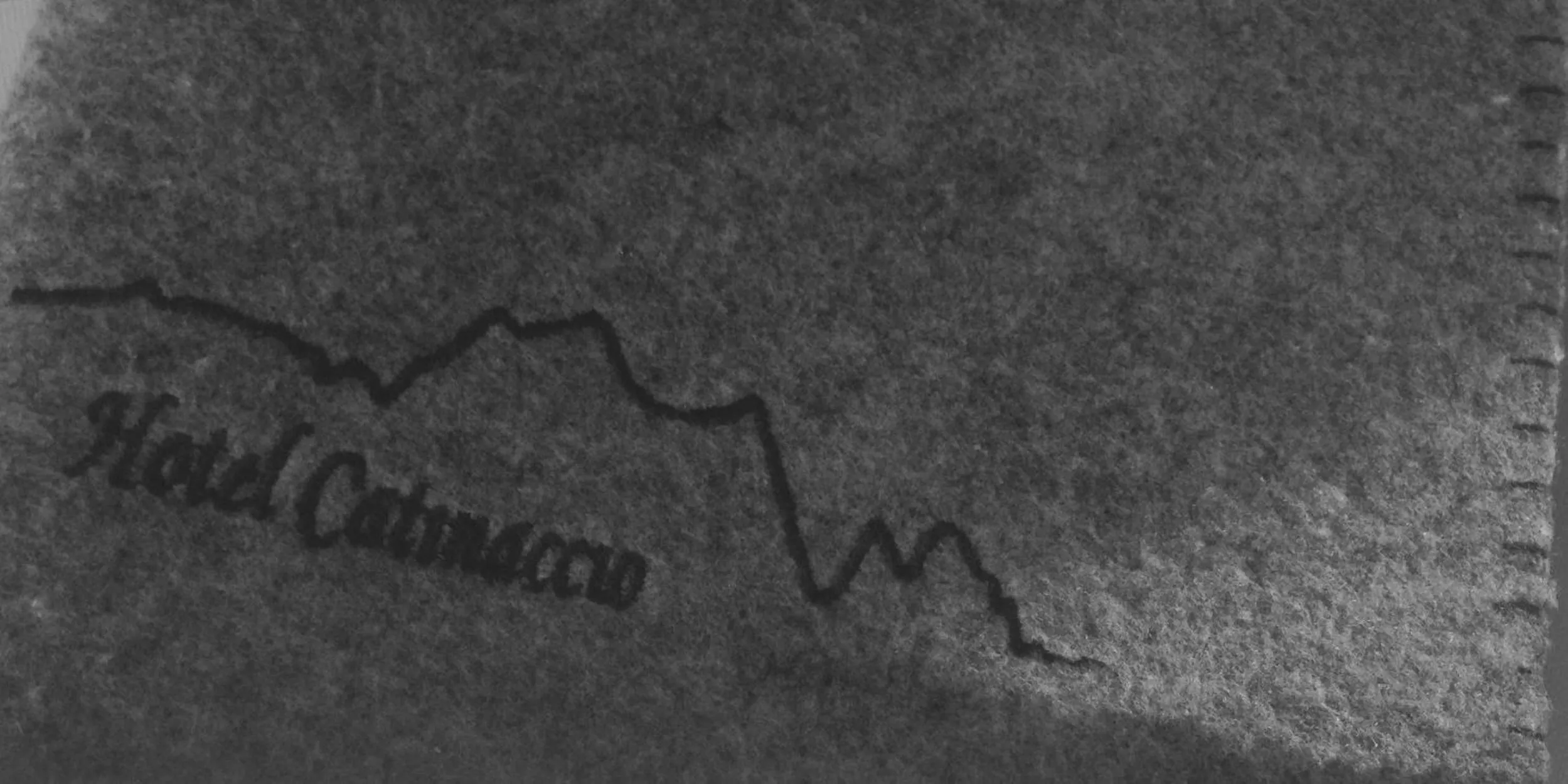 Property logo or sign in Hotel Catinaccio