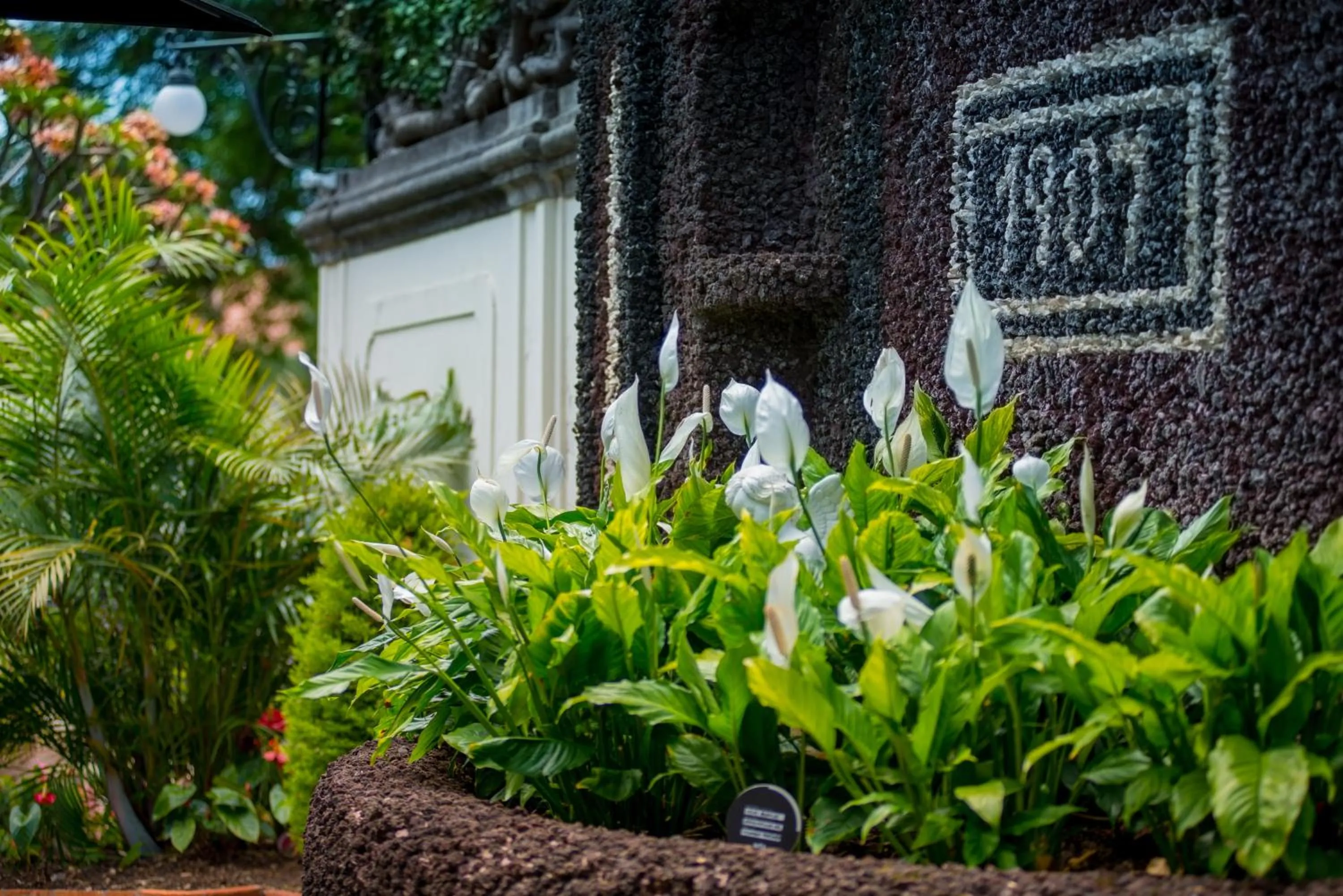 ARTS IN Hotel Conde Carvalhal