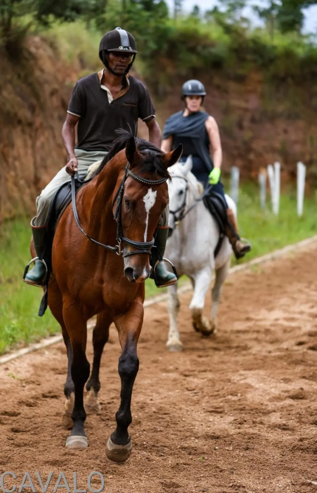 Horse-riding in Cavalo Guesthouse & Equestrian Estate